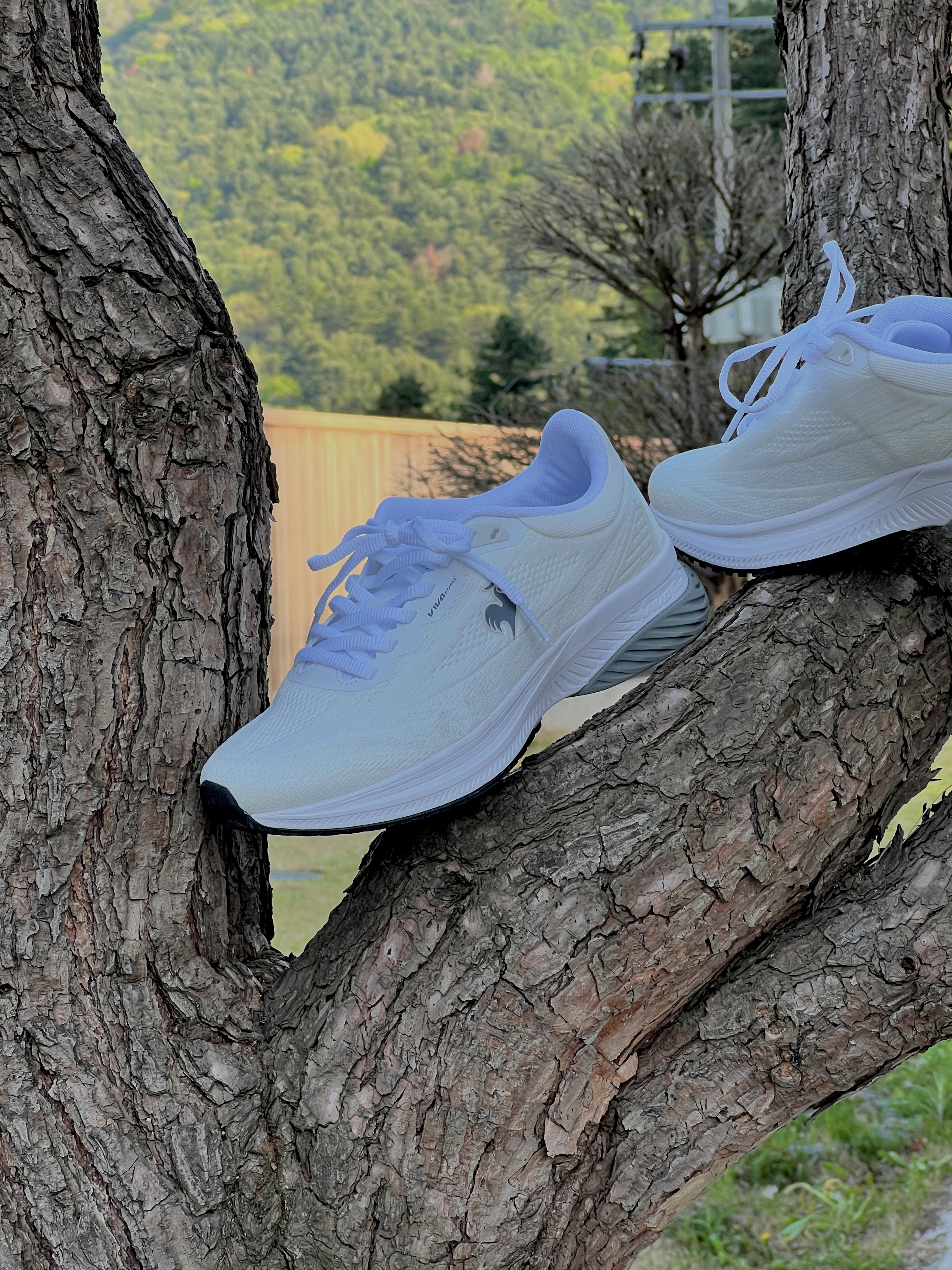 le coq sportif Viva Foam Plus White 착용 스타일 - 3