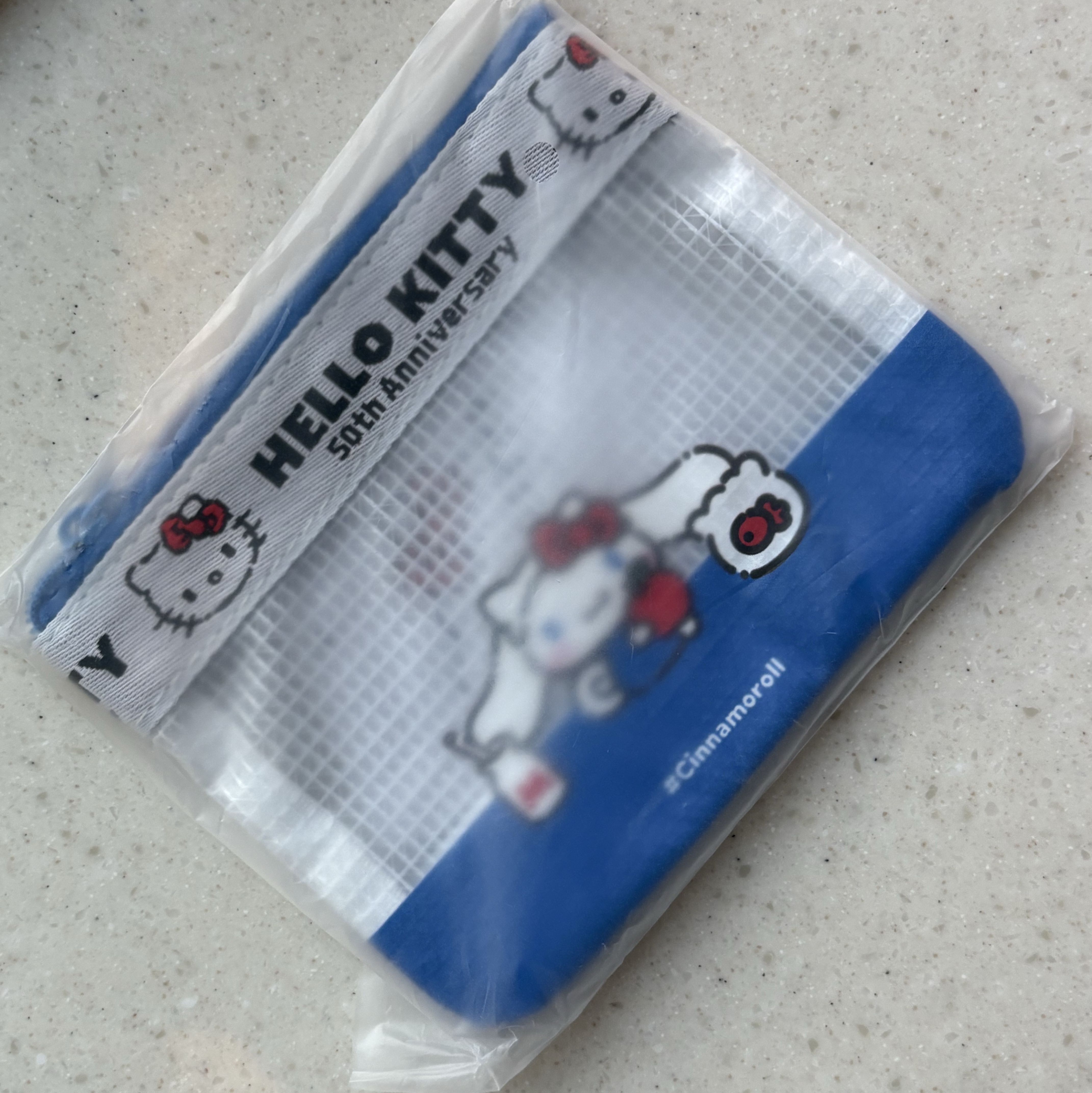 Sanrio Hello Everyone Cinnamoroll Vinyl Flat Pouch Blue 착용 스타일