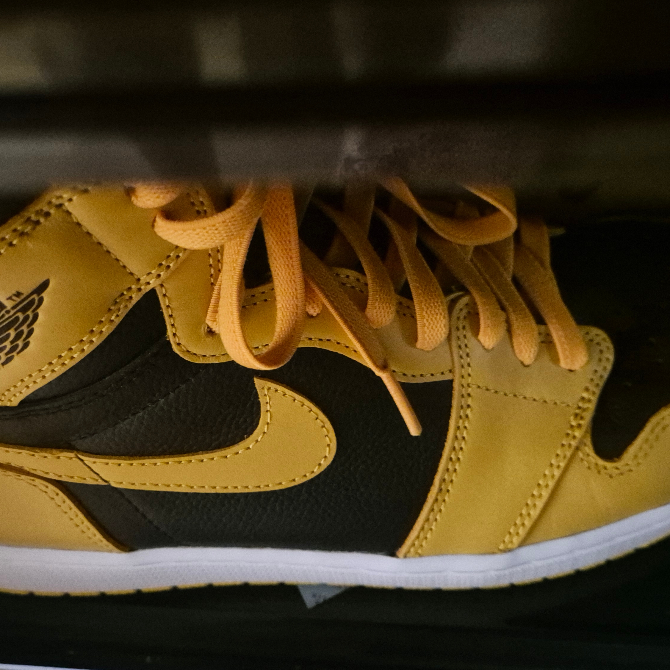 Jordan 1 Retro High OG Pollen 착용 스타일