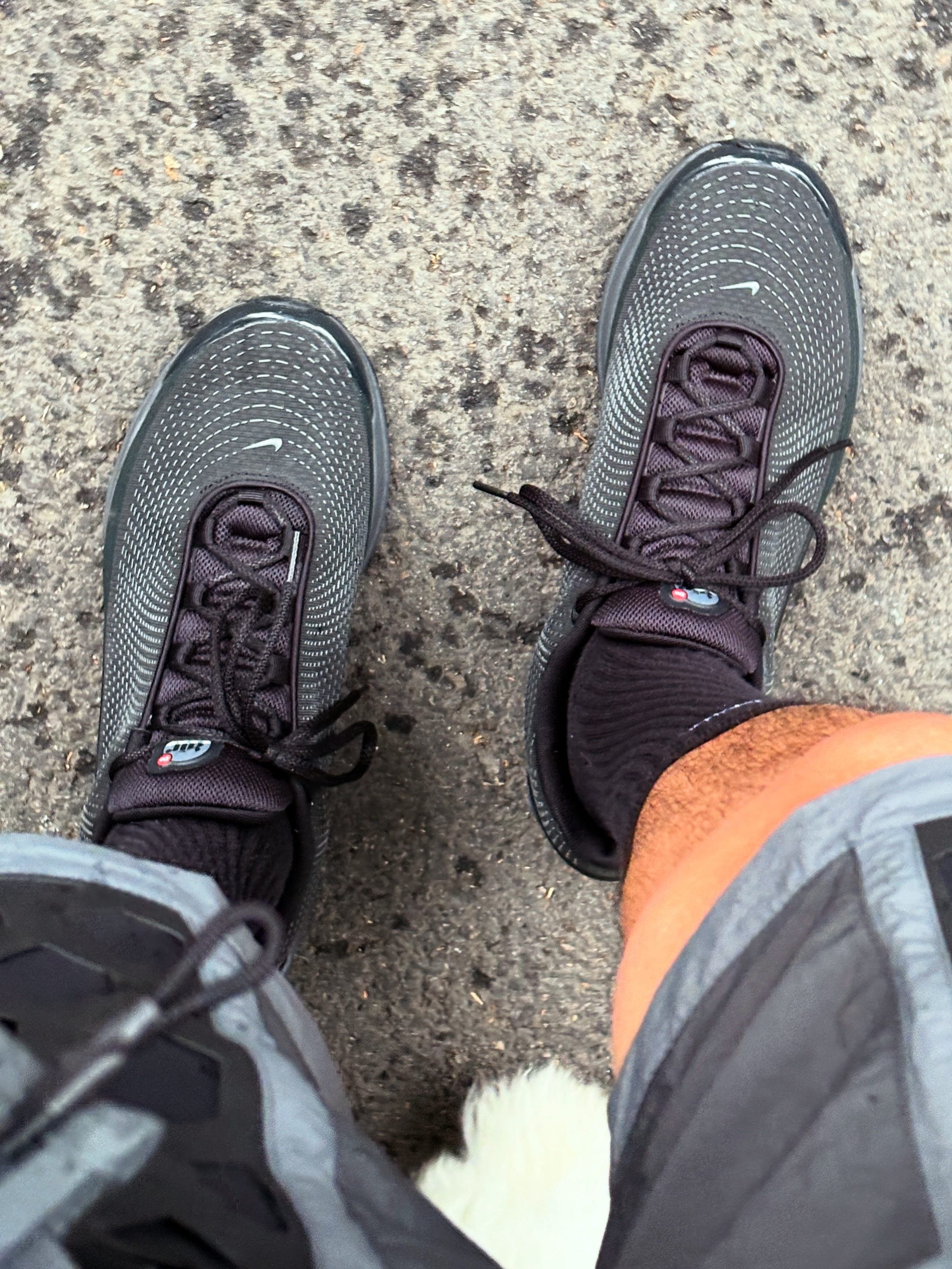 Nike ISPA Shorts Anthracite - US/EU, Nike Air Max Dn Anthracite Light Crimson 착용 스타일