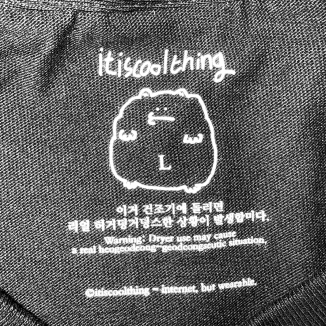 250301RHGDGDSB itiscoolthing Real Heogeodeong-Geodeongseuhan Situation T-Shirts Black - #5