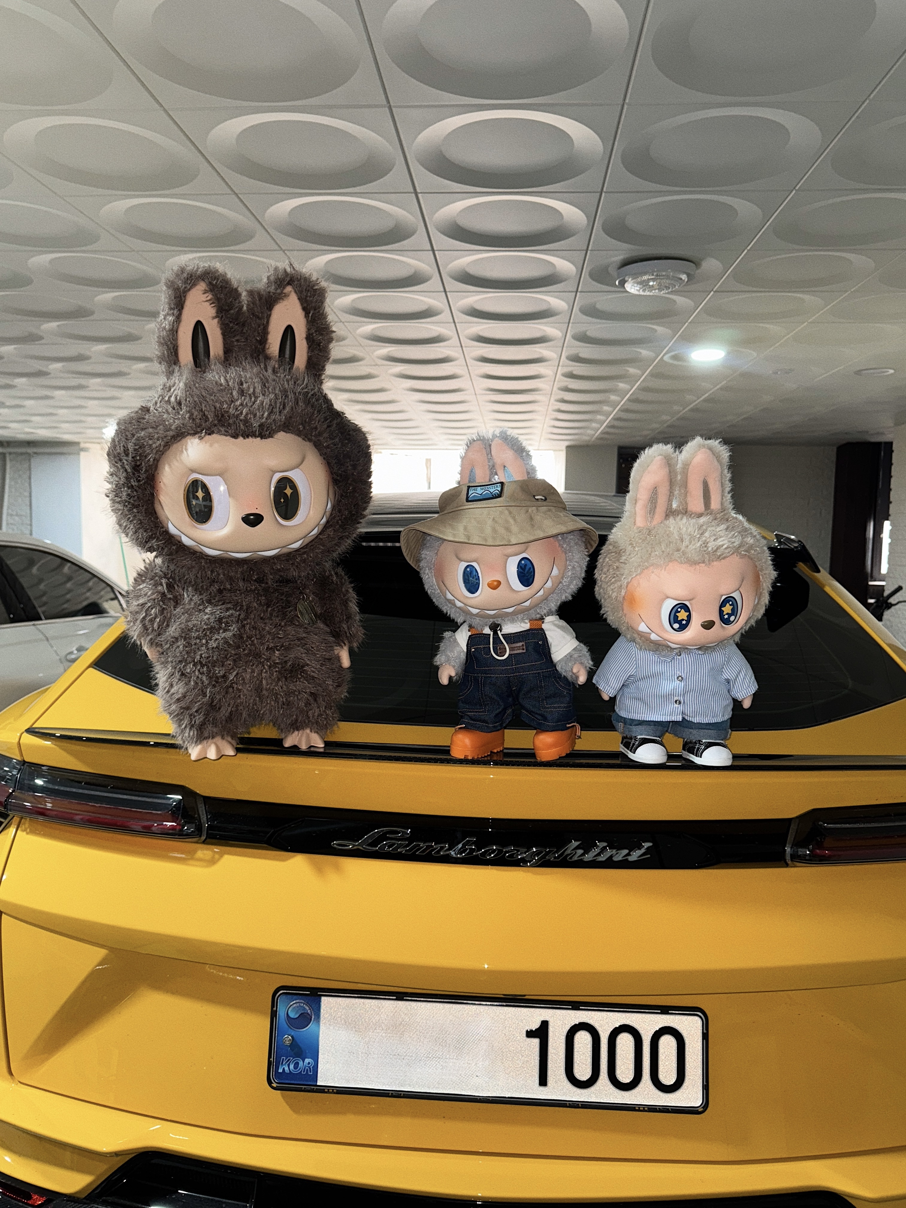 Pop Mart The Monsters I Found You Vinyl Face Doll, Pop Mart The Monsters Fall In Wild Labubu Series Plush Doll 착용 스타일 - 1