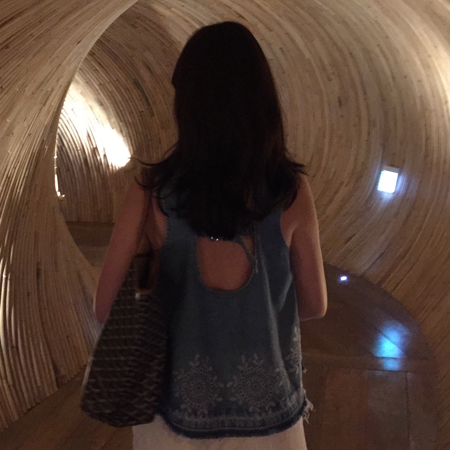 Goyard Saint Louis PM Bag Black Tan 착용 스타일 - 1