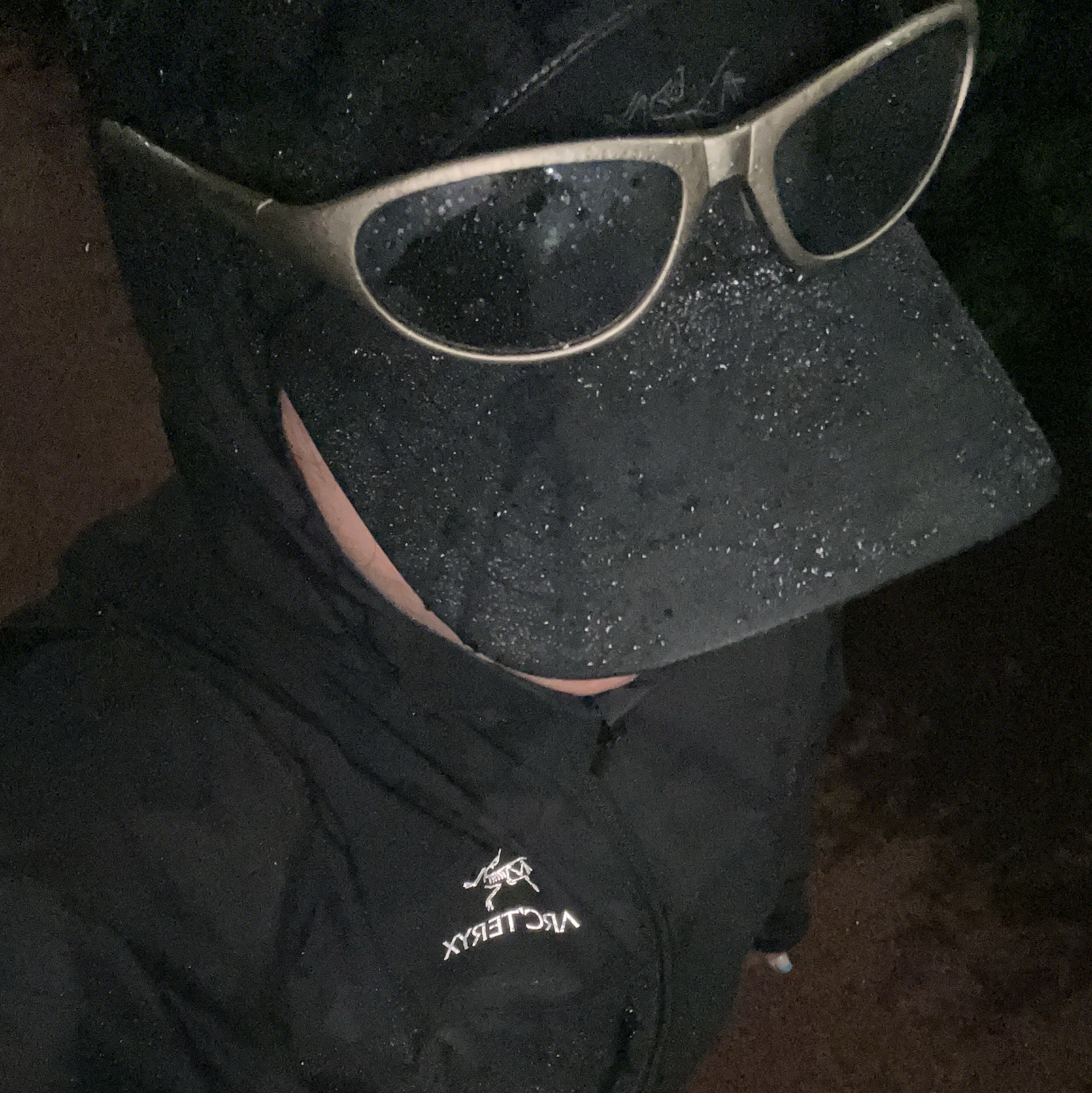 Arc'teryx Squamish Hoody Black, Montbell Polarized Trekking Glasses Silver Light Gray 착용 스타일