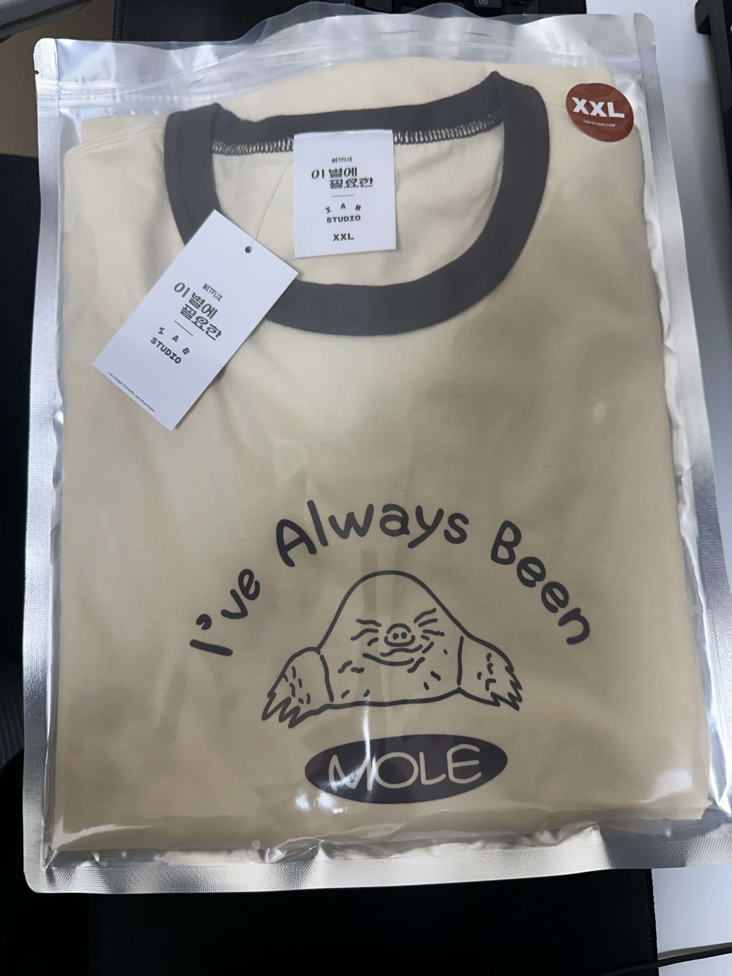 IAB Studio x Lost in Starlight Mole Ringer T-Shirt Ivory Brown 착용 스타일