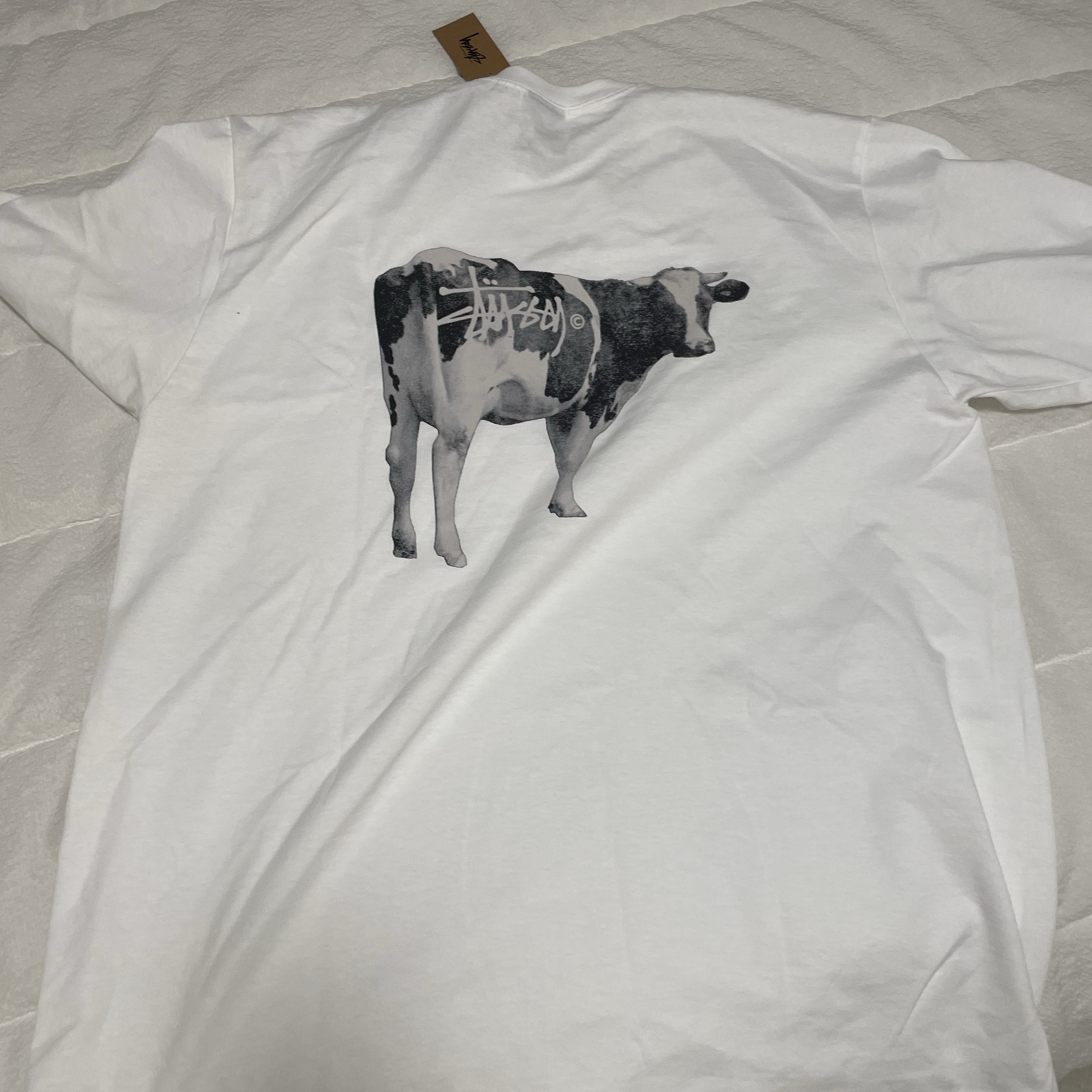 Stussy Grassfed T-Shirt White 착용 스타일 - 2