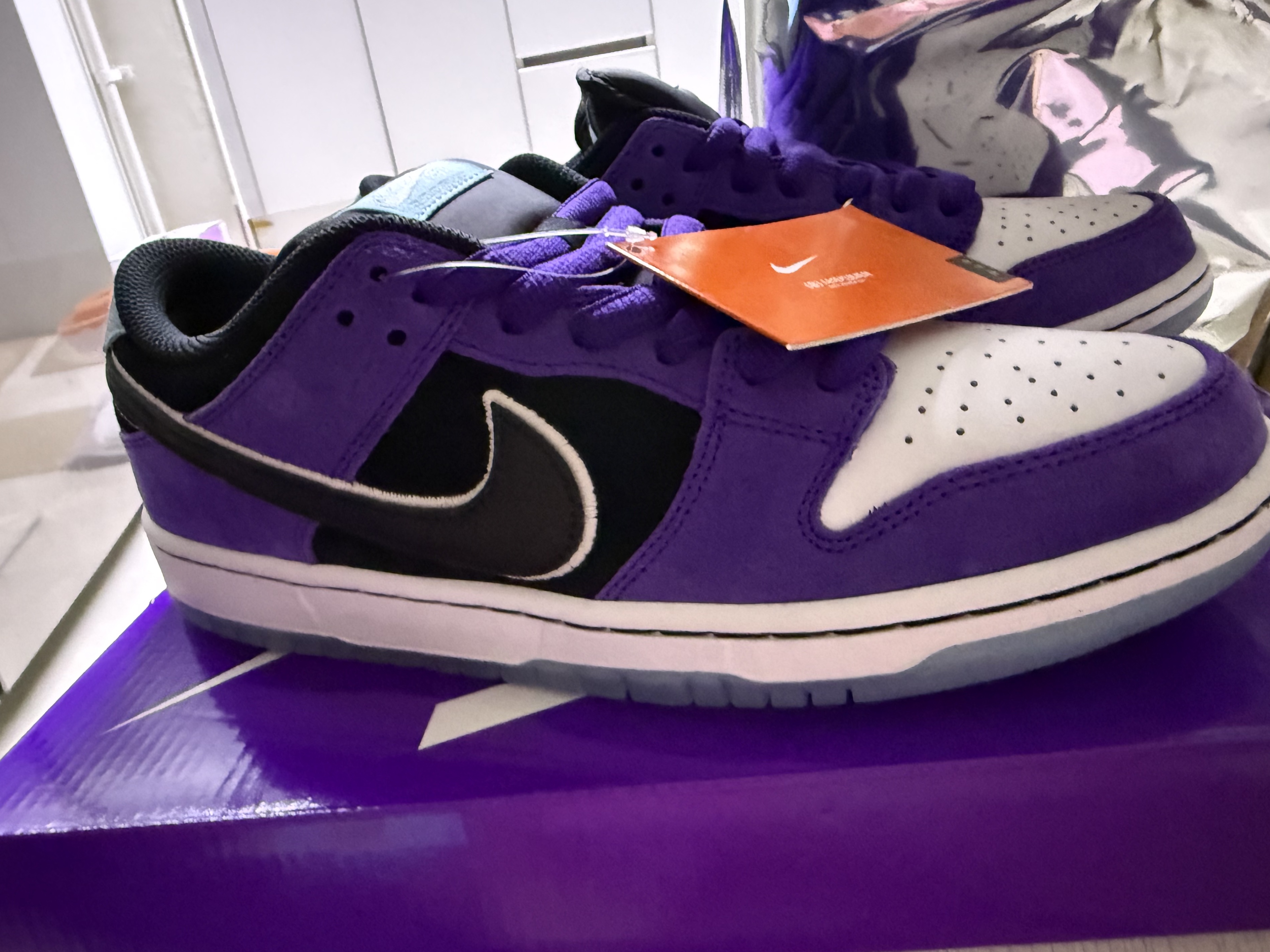 Nike x Hayley Wilson SB Dunk Low Pro Black and Court Purple 착용 스타일 - 1