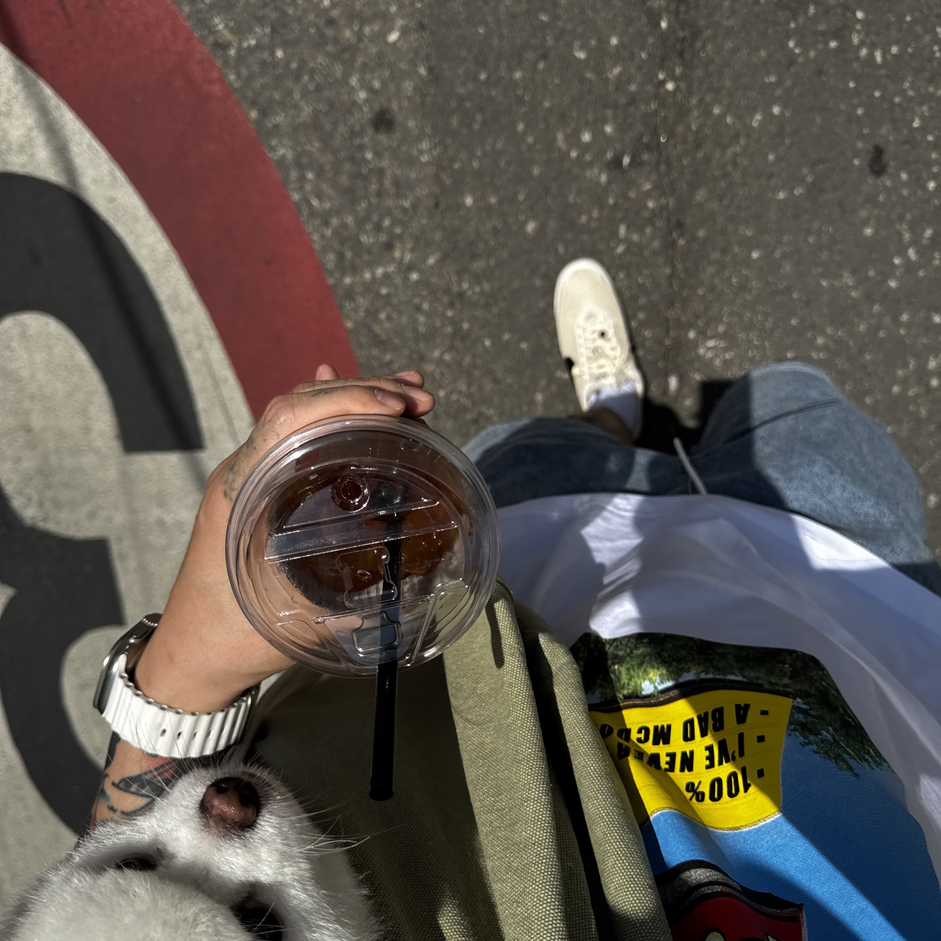 Nike x Bode Astrograbber SP Light Cream and Black, Palace x McDonald's Sign T-Shirt White - 23FW 착용 스타일 - 1