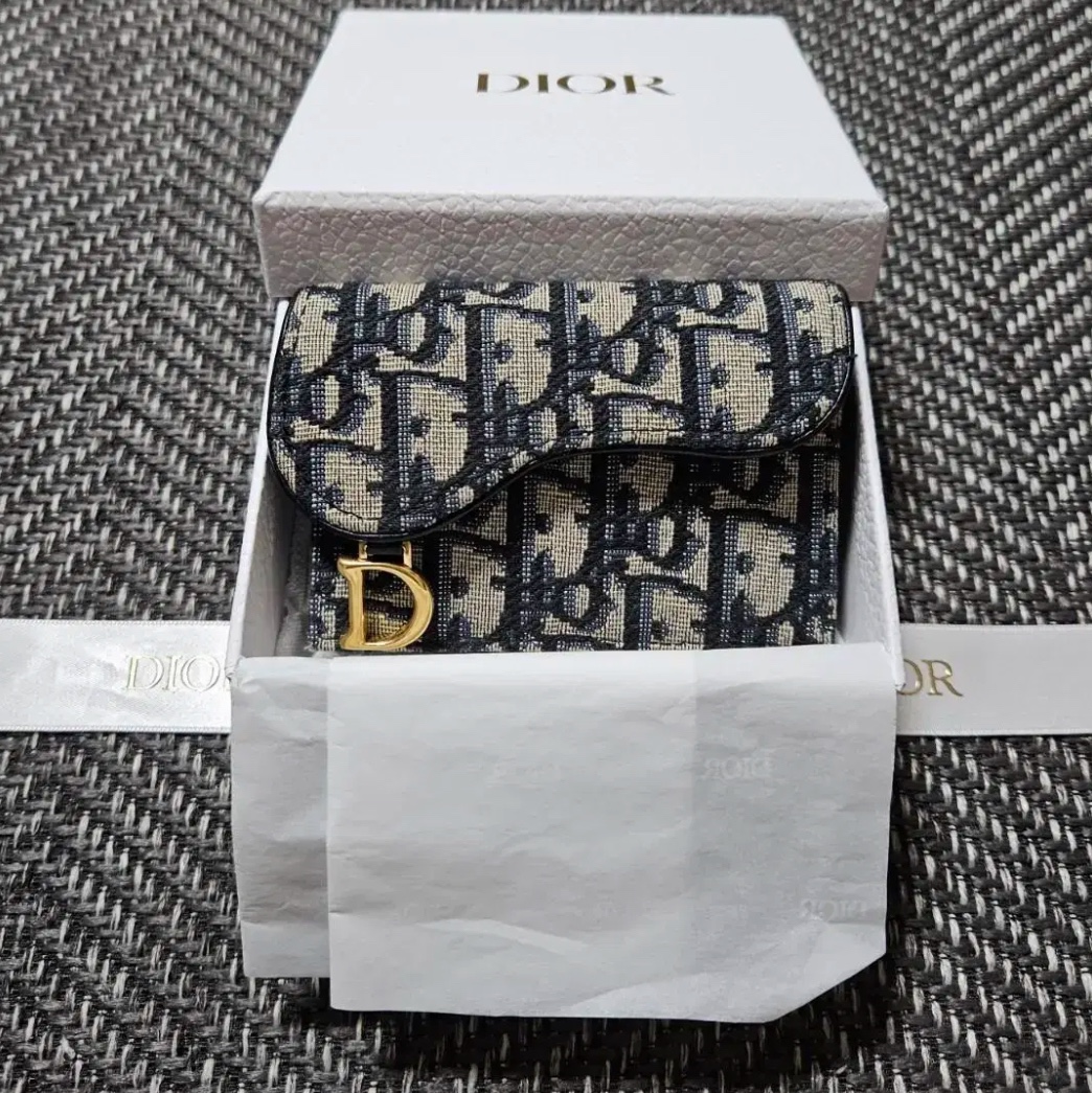 Dior Saddle Flap Card Holder Blue Dior Oblique Jacquard 착용 스타일