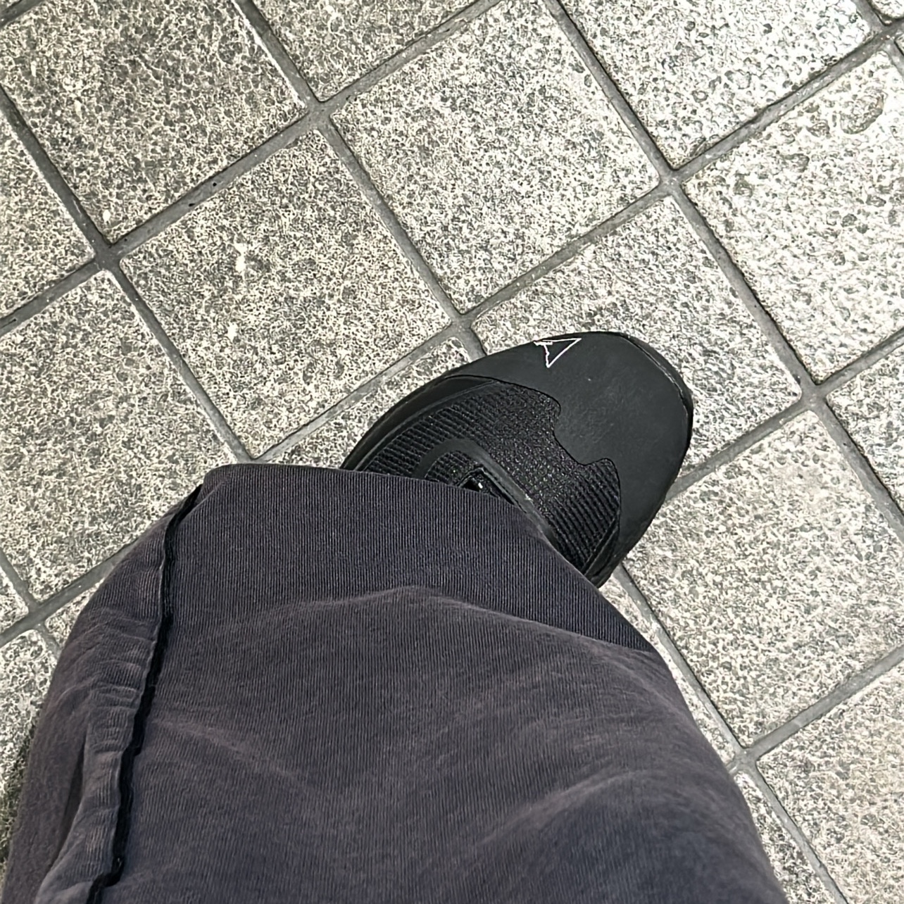 ROA Katharina Light Black - 25SS, Polyteru 1011 Fatigue Sweatpants 1.2v Dark Purple Navy 착용 스타일