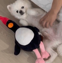 Dream C&C Feathers Mcgraw Plush 40cm 착용 스타일