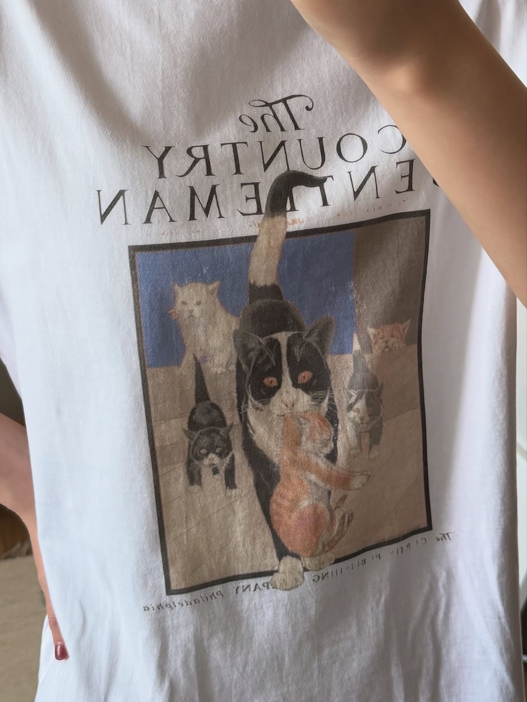 The Saturday Evening Post Country Cat T-Shirt White 착용 스타일 - 2