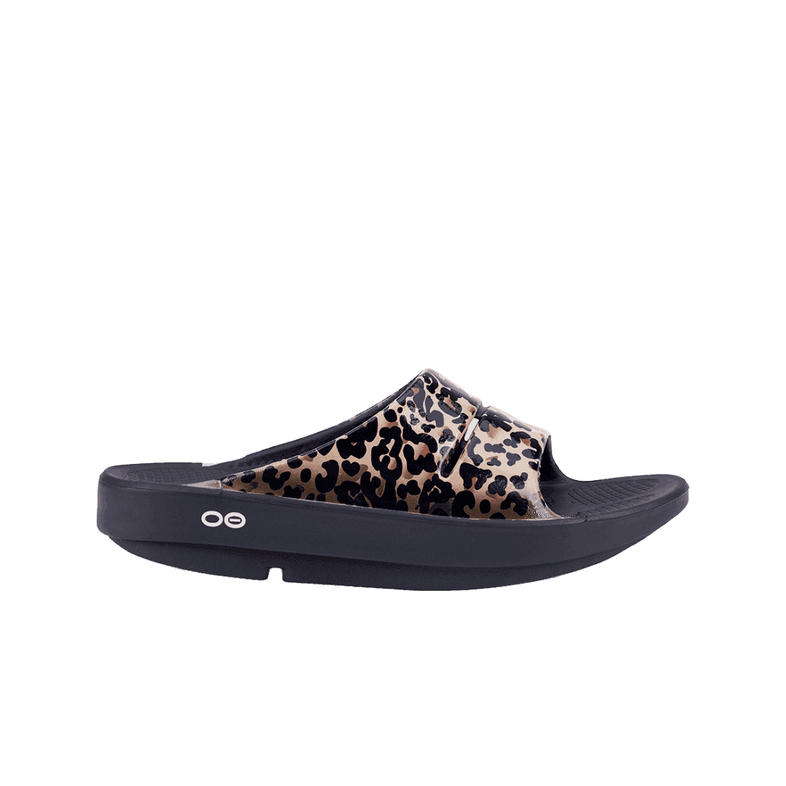1000000153 [10% 쿠폰] OOFOS Ooahh Leopard - 대표 이미지 #1