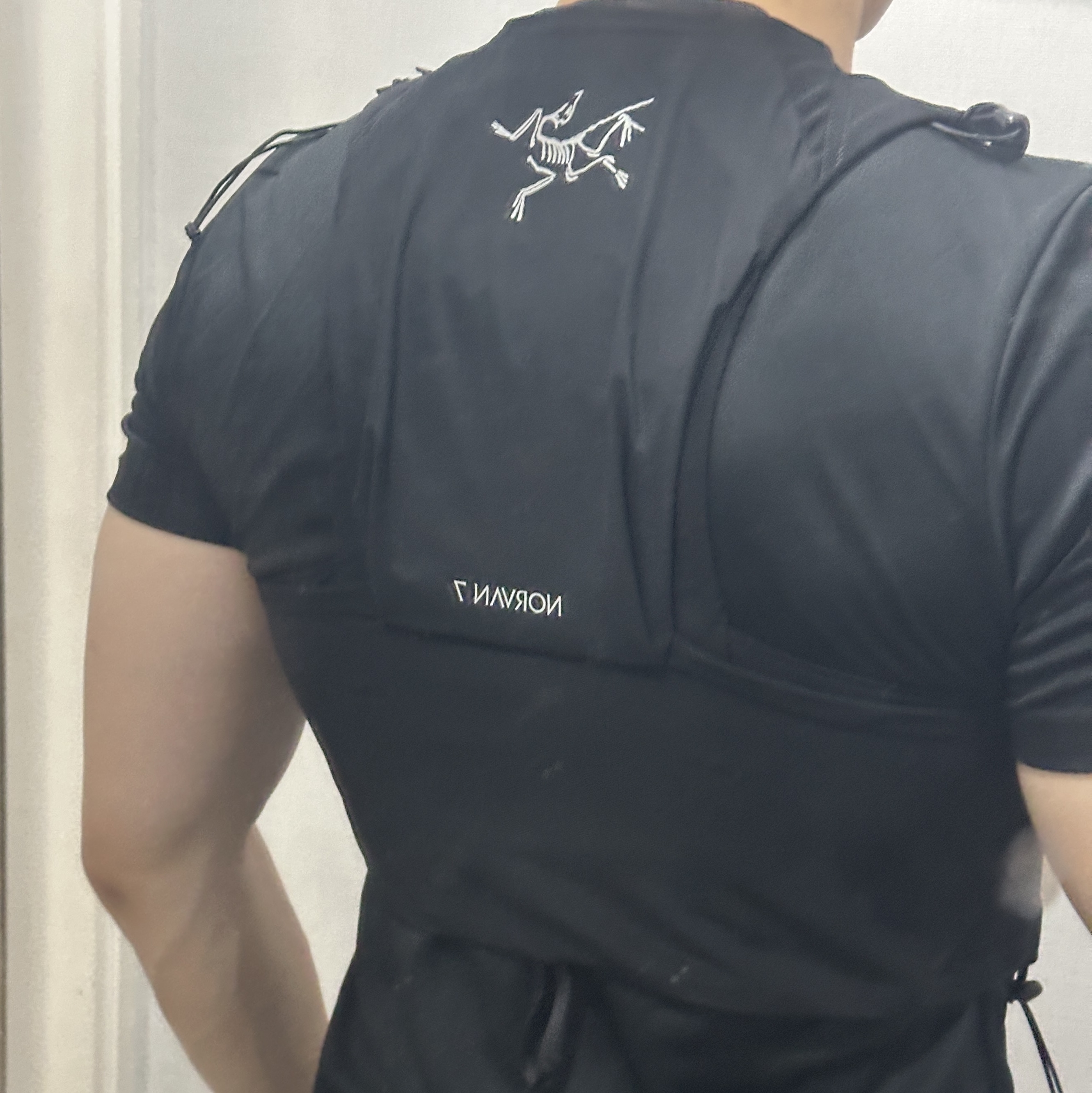 Arc'teryx Norvan 7 Vest Black, Nike Dri-Fit Fitness T-Shirt Black - Asia 착용 스타일 - 2