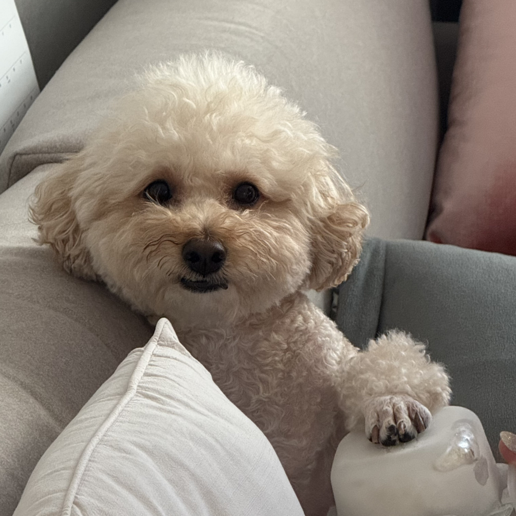 KREAM 프로필 이미지