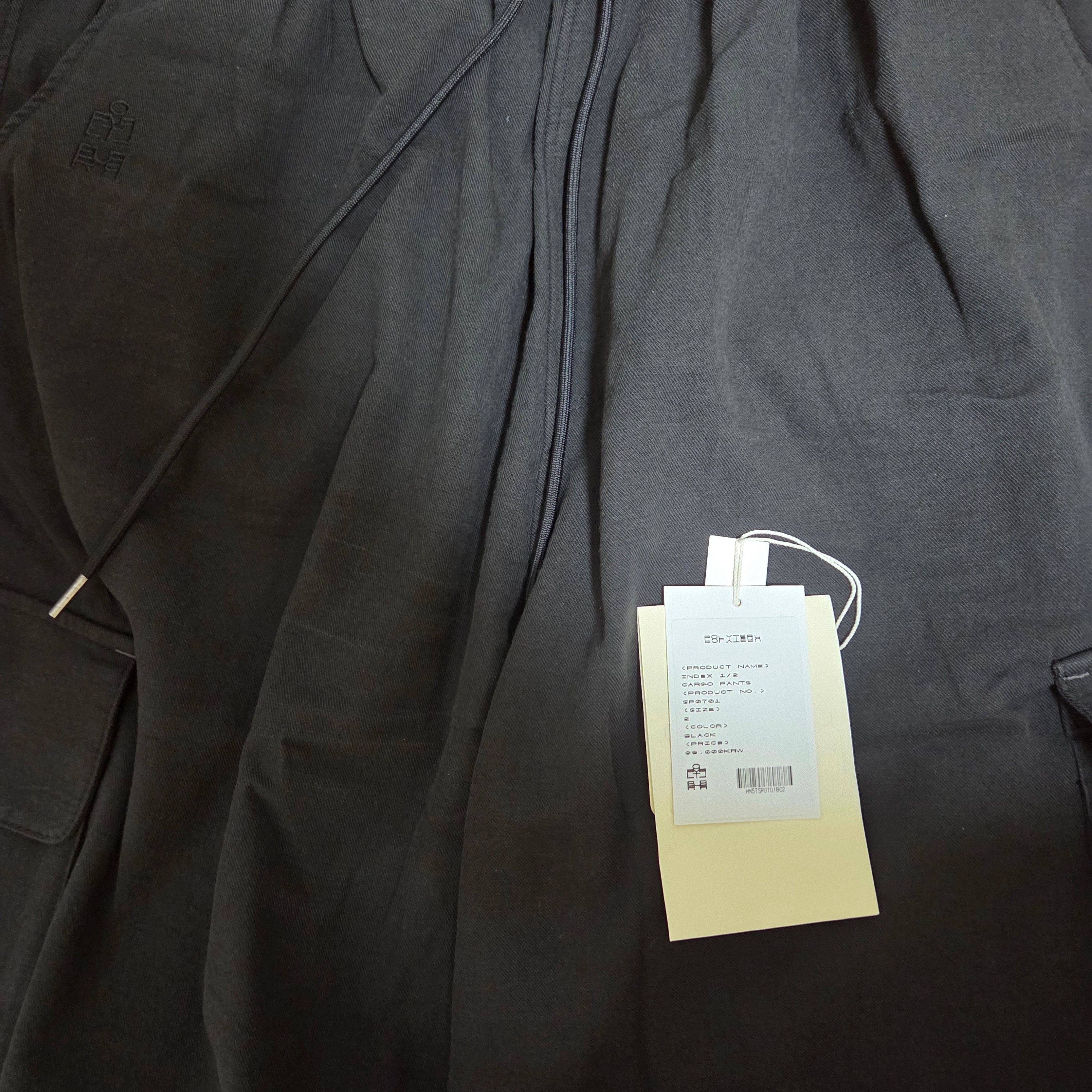 Polyteru Human Index index 1/2 Cargo Pants Black 착용 스타일 - 2