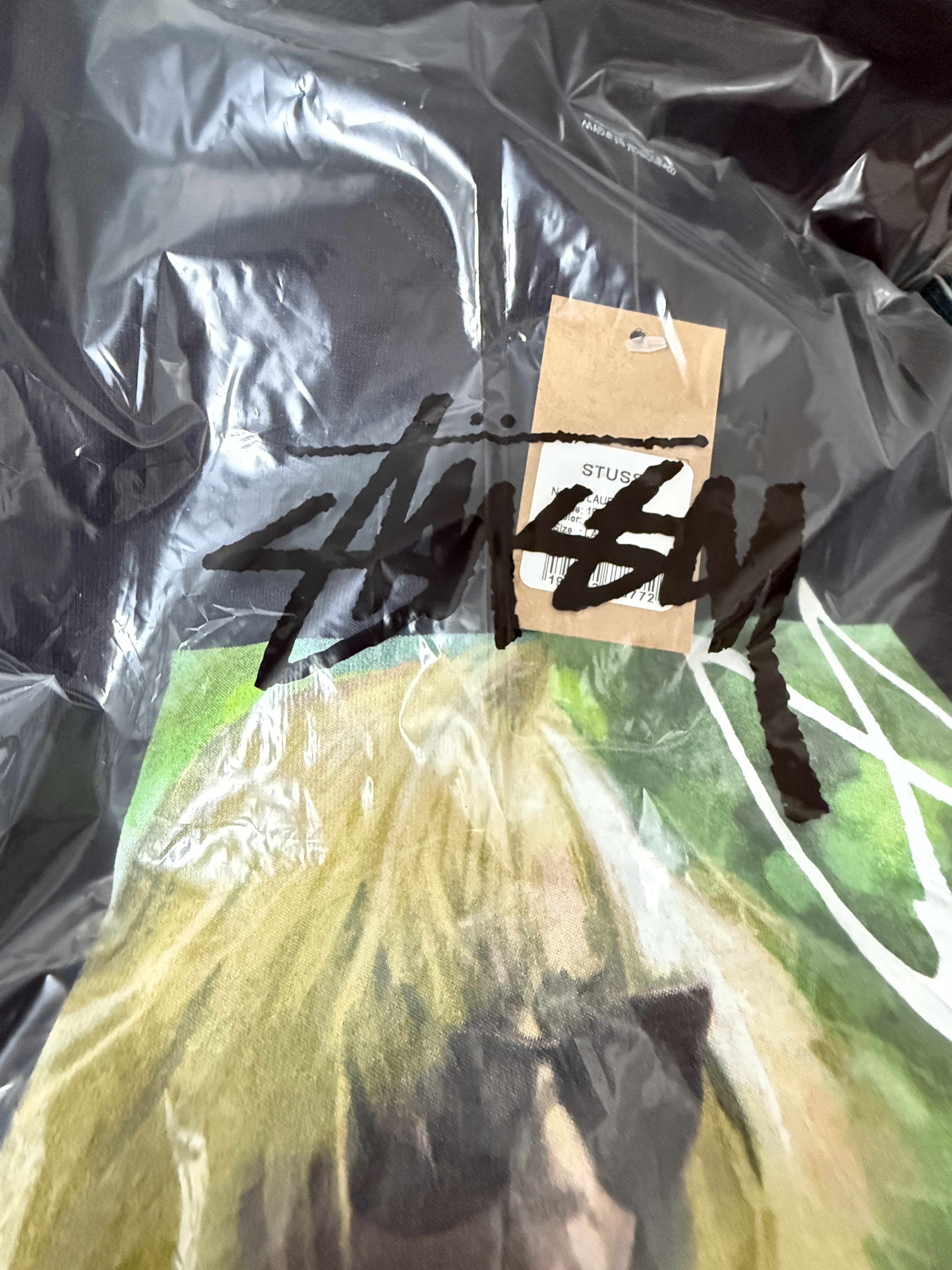 Stussy Laura T-Shirt Black 착용 스타일