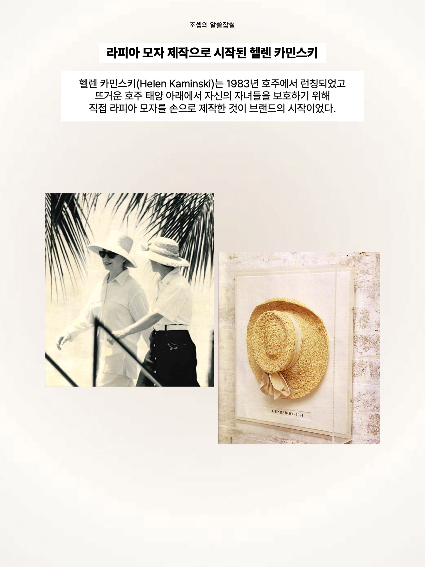(W) Helen Kaminski Bianca Natural Black Logo, (W) Helen Kaminski Bianca Nougat Natural Logo 착용 스타일 - 2