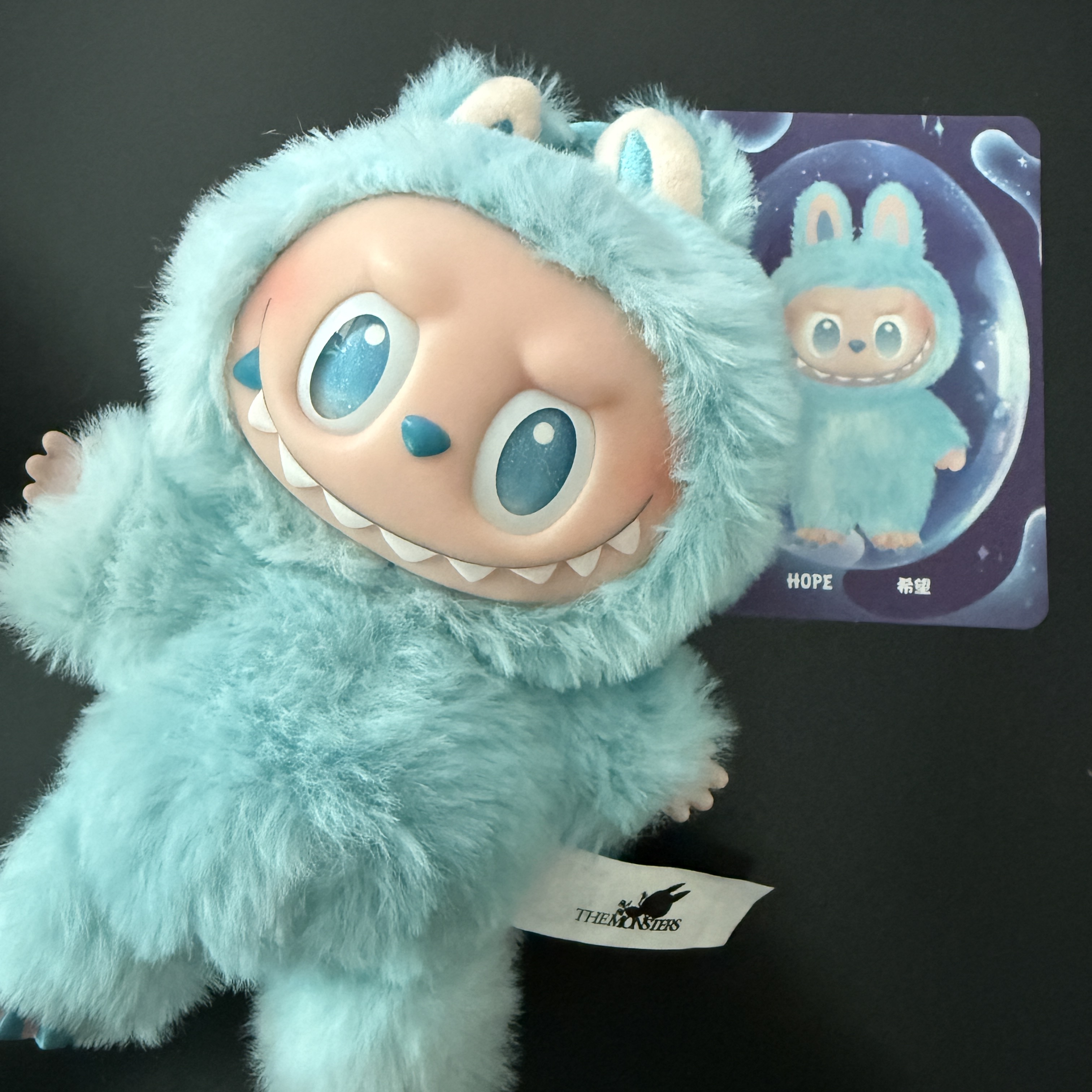 Pop Mart Labubu The Monsters Highlight Series Sealed Case (1 Blind Box) 착용 스타일