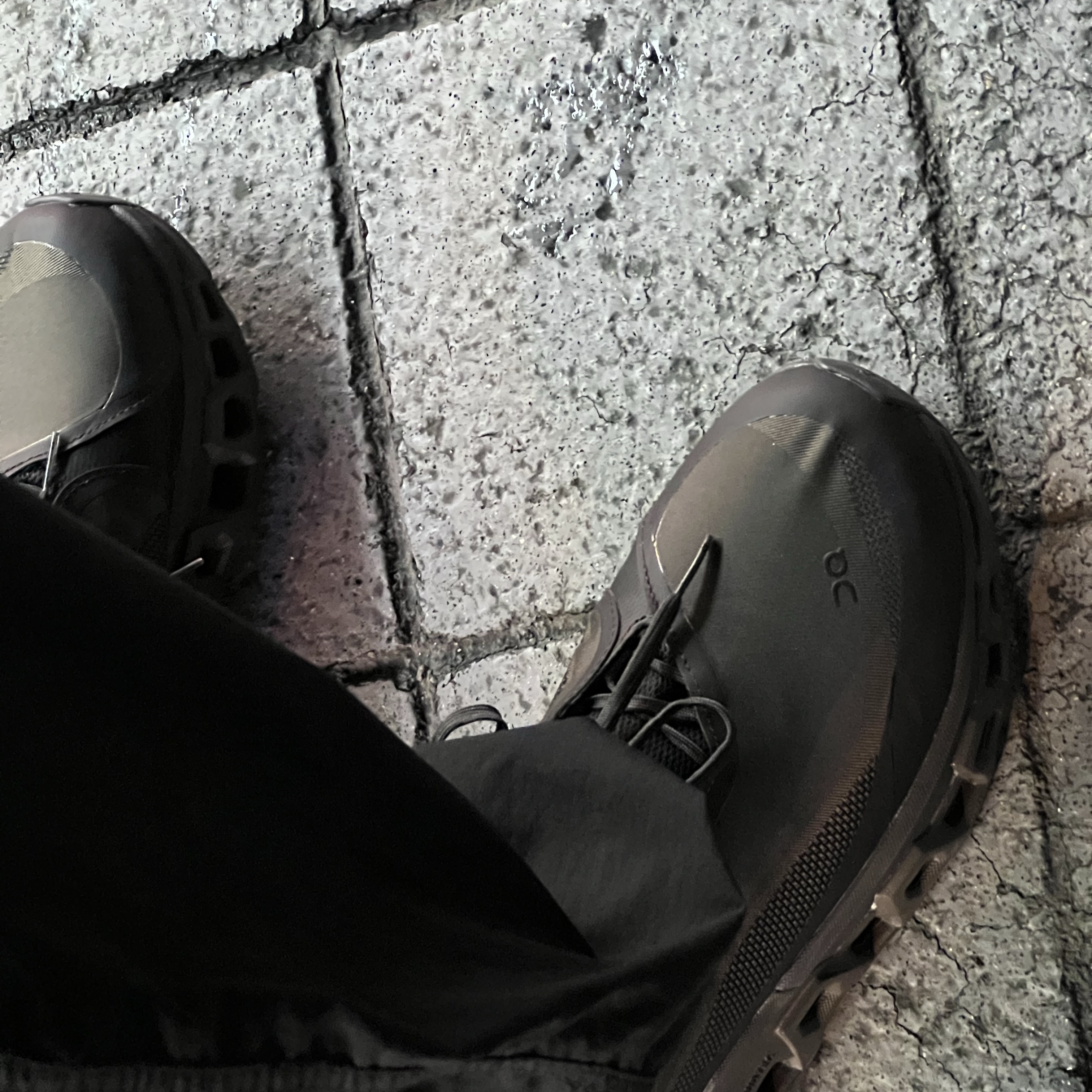 On Running x Post Archive Faction (Paf) Cloudmonster 2 Thorn Brown 착용 스타일