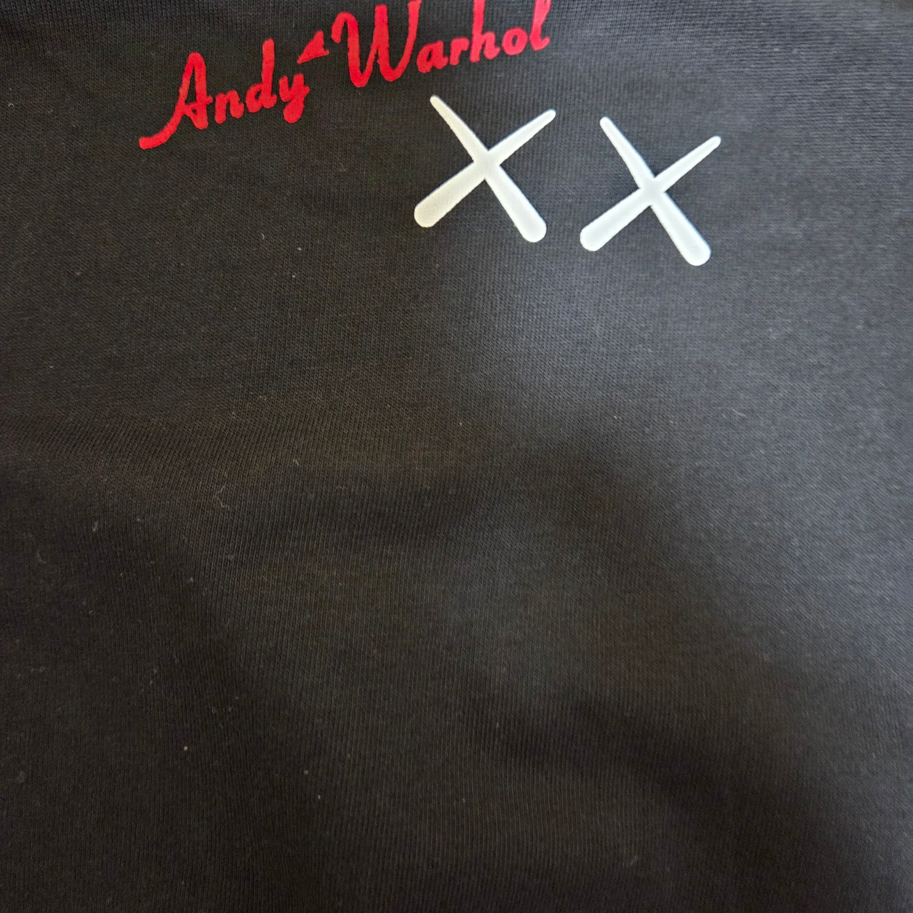 Uniqlo UT x Kaws x Warhol S/S Graphic T-Shirt C Black 착용 스타일 - 2