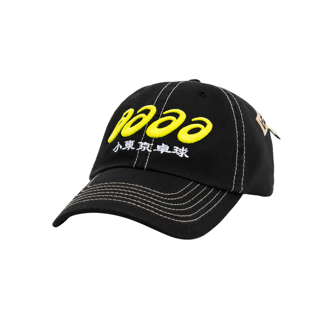 LTTT - ASICS AAAA CAP  