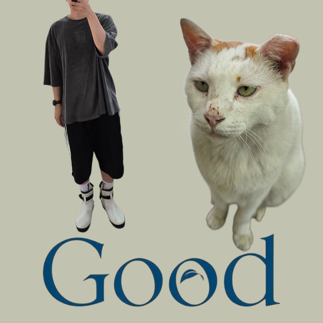 jnjnjn님의 스타일
