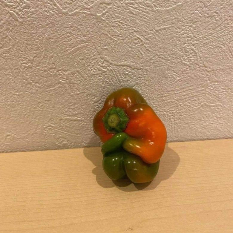 관심 유저 프로필 이미지