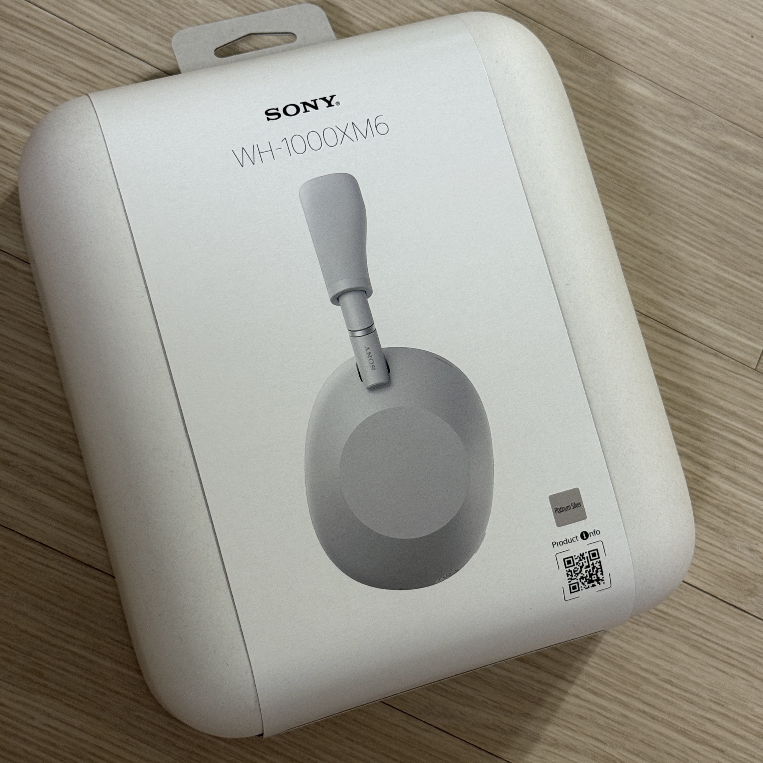 Sony WH-1000XM6 Silver (Sony Korea Ver.) 착용 스타일 - 1