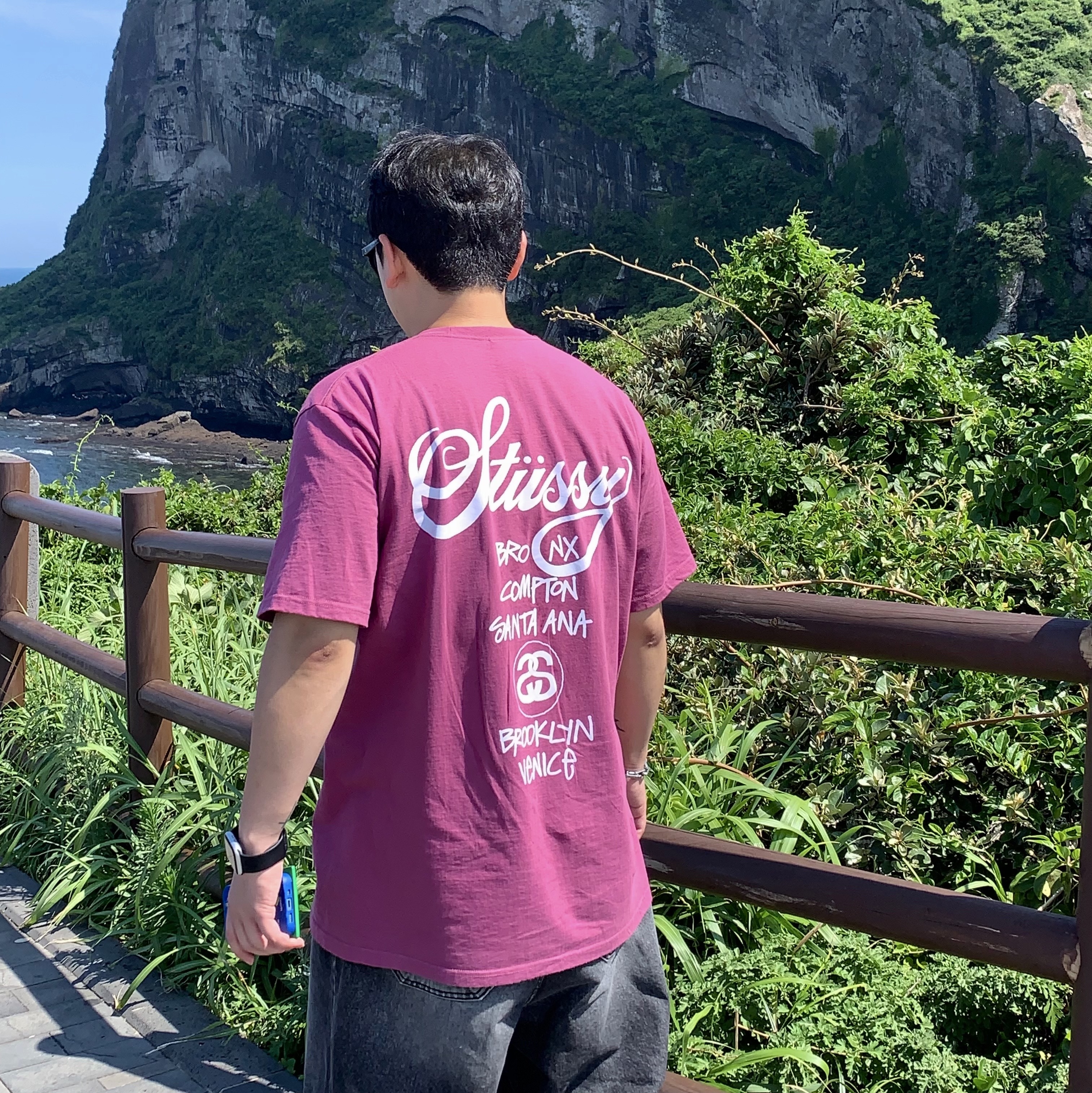 Stussy World Tour T-Shirt Berry 2024, Bottega Veneta Credit Card Case Calfskin Parakeet 착용 스타일