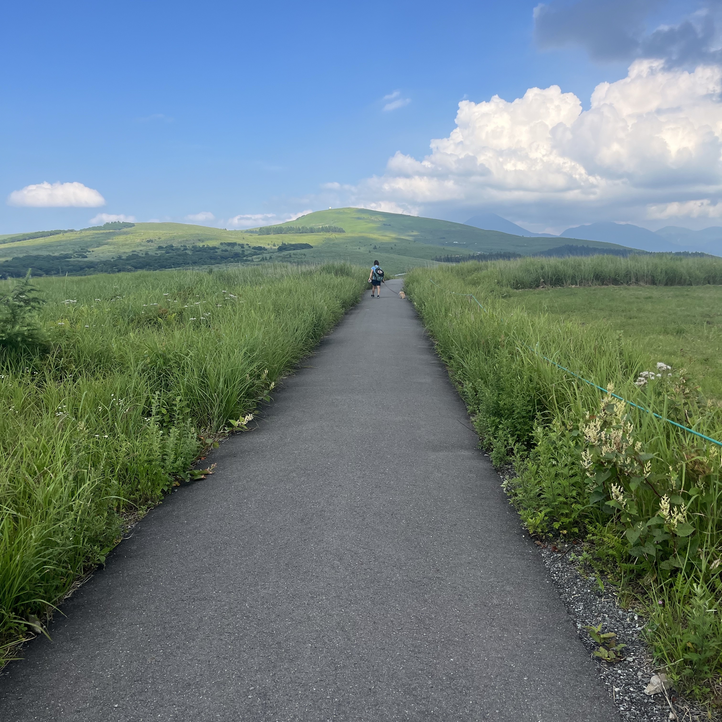 BORN TO WIN Surgical B Logo Necklace Silver, BORN TO WIN Cool Mesh Singlet White 착용 스타일 - 2