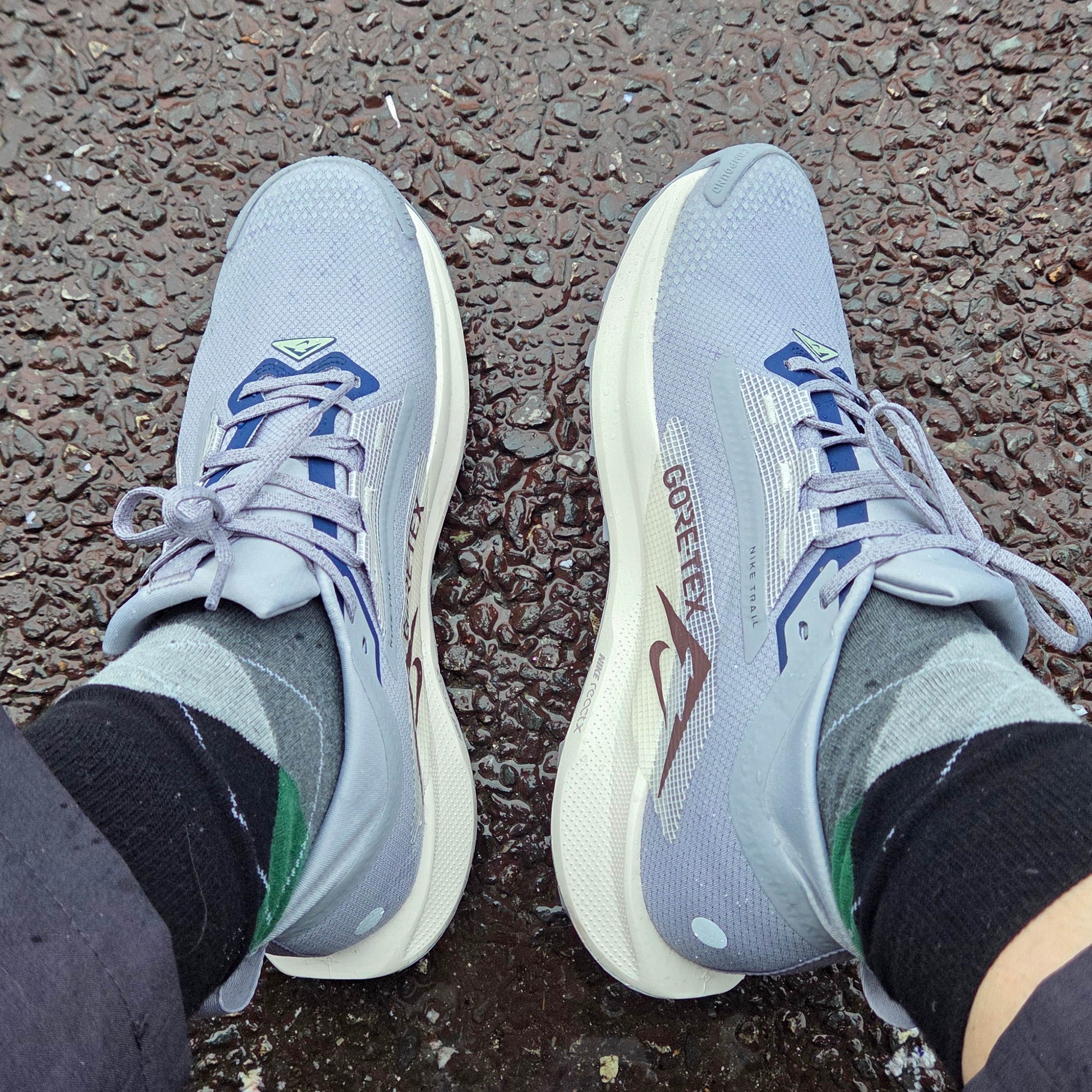 Nike Pegasus Trail 5 Gore-Tex Cement Grey Jade Horizon 착용 스타일
