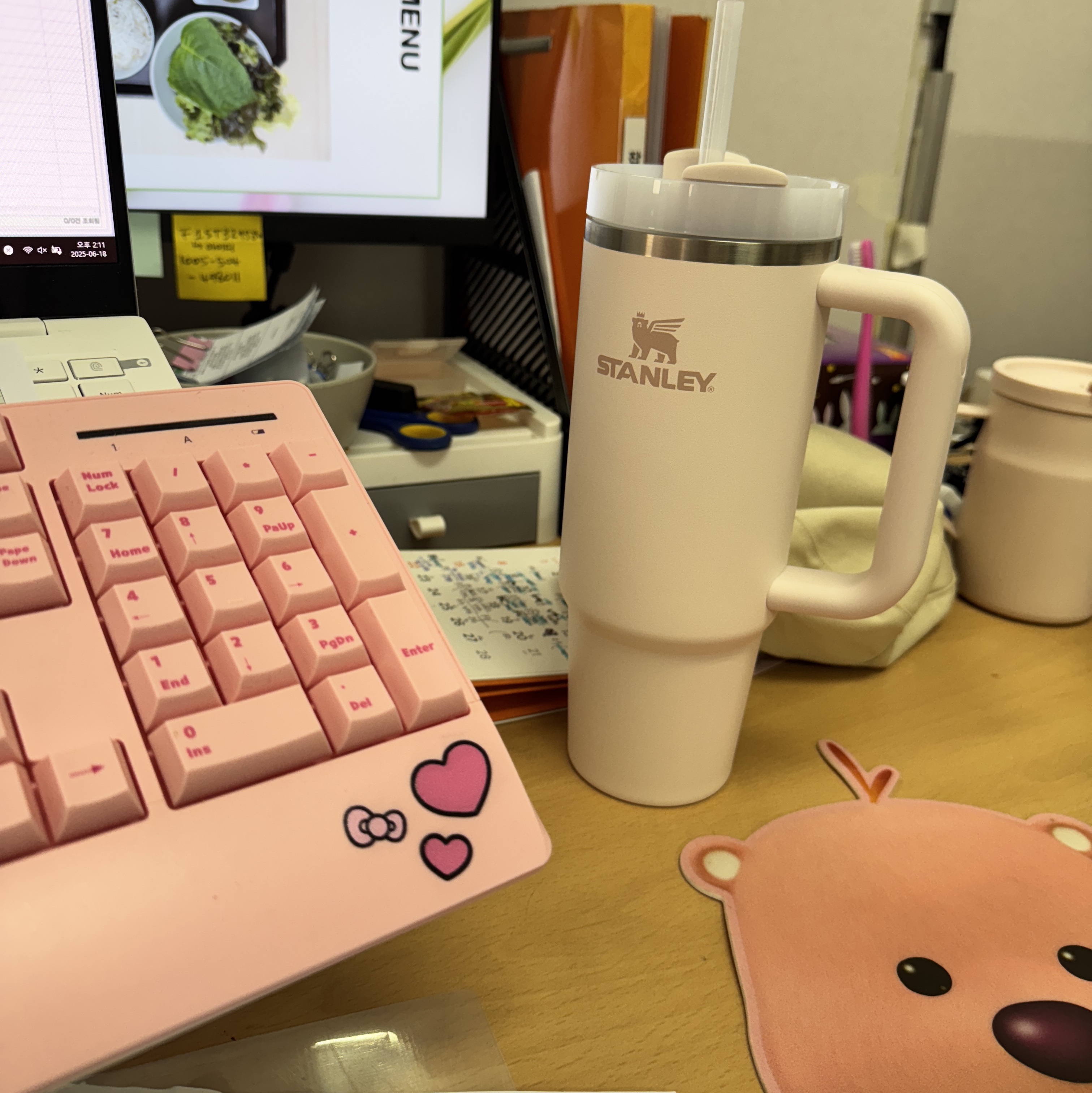 Stanley The Quencher H2.0 Flowstate Tumbler 887ml Rose Quartz 2.0 착용 스타일