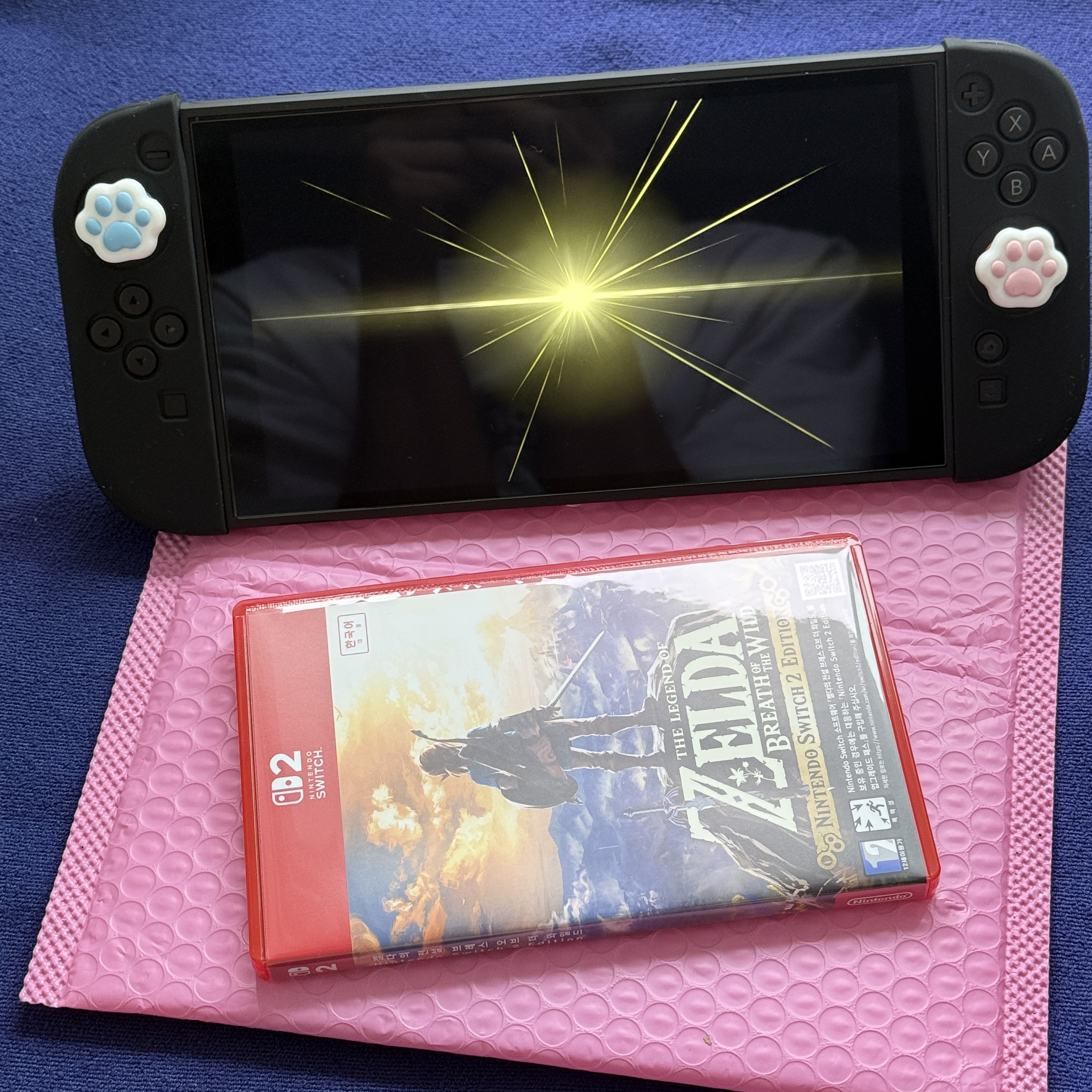 Nintendo Switch 2 Legend of Zelda Breathe of the Wild 착용 스타일