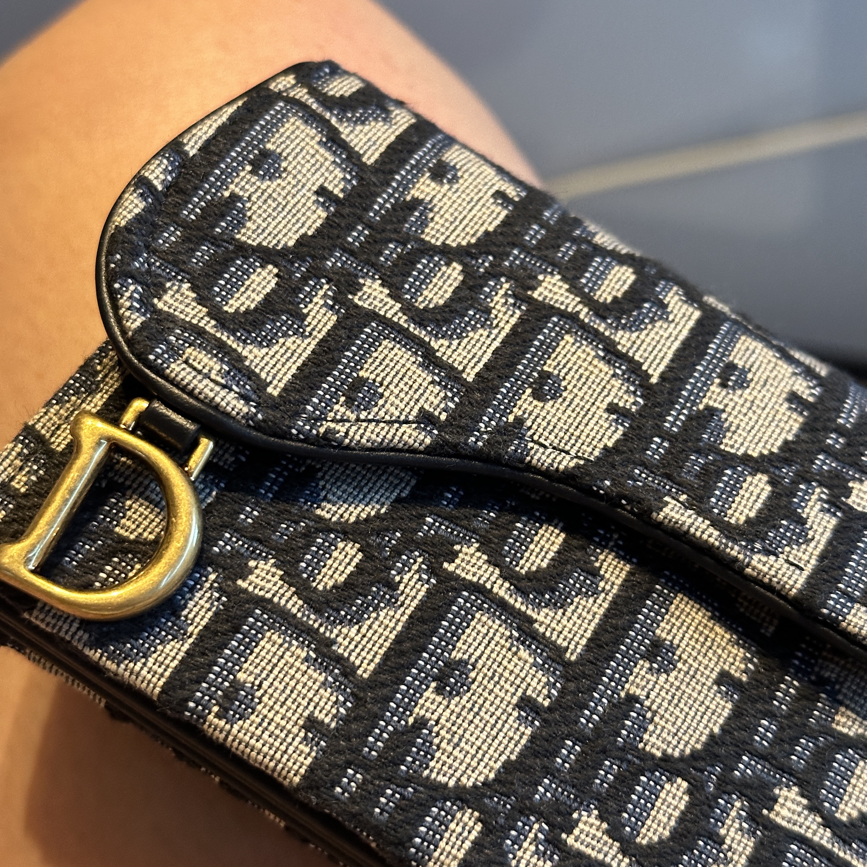 Dior Saddle 5-Gusset Card Holder Blue Dior Oblique Jacquard 착용 스타일
