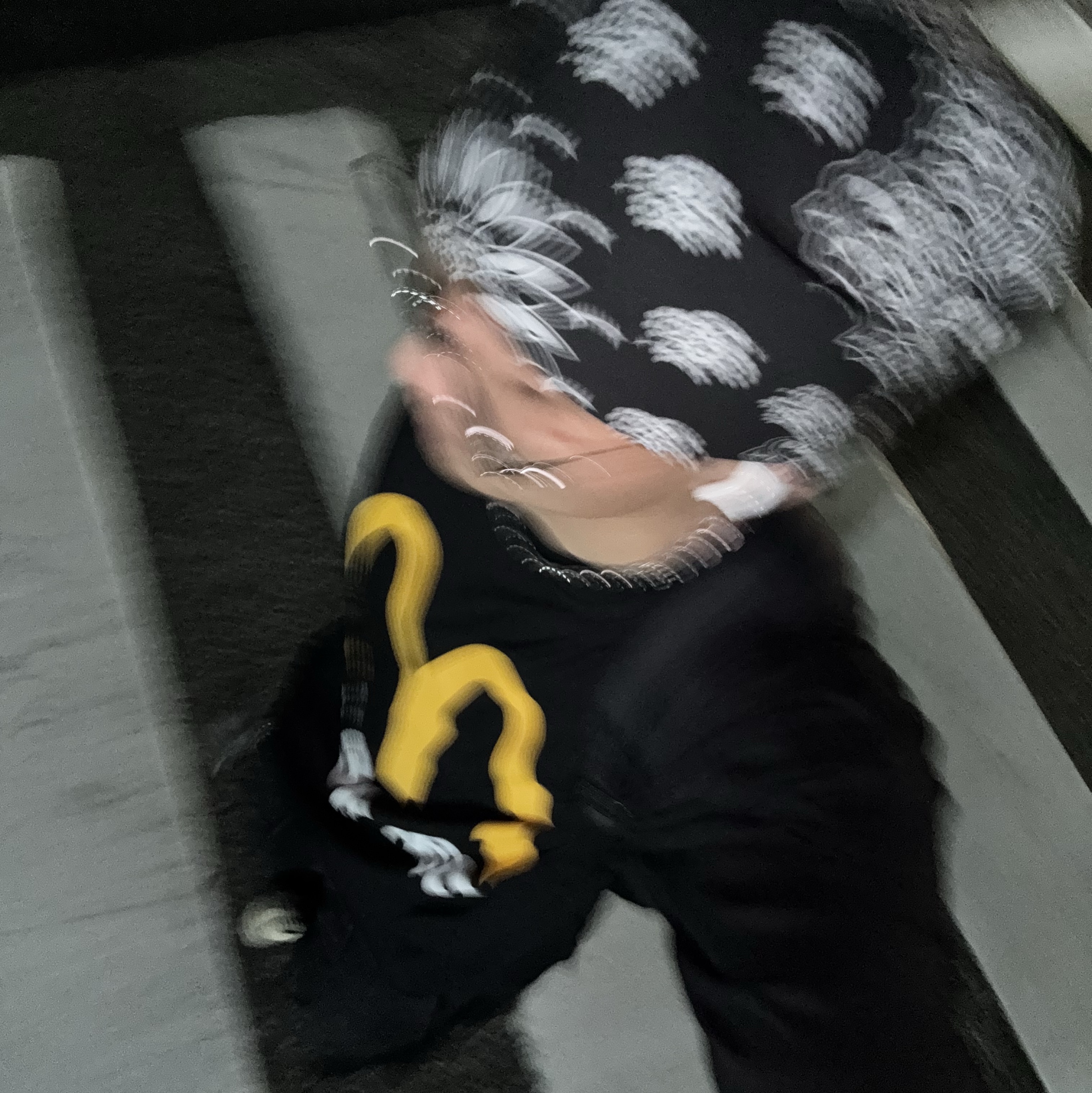 Supreme Hav-A-Hank Bandanas Multicolor (Set of 3) - 24SS, Gentle Monster Met 02 Silver 착용 스타일