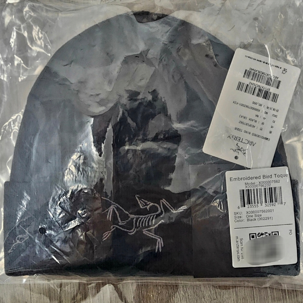 Arc'teryx Embroidered Bird Toque Black 착용 스타일