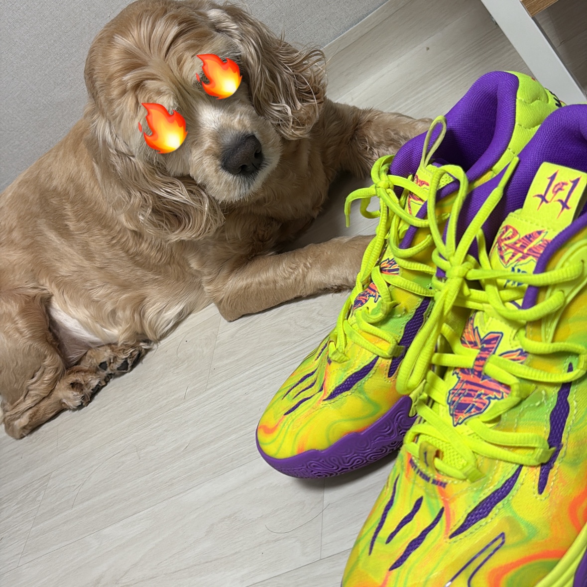 Nike LeBron XX PRM EP Guava Ice Bordeaux, Puma MB.03 Lamelo Ball Safety Yellow Purple Glimmer 착용 스타일 - 2