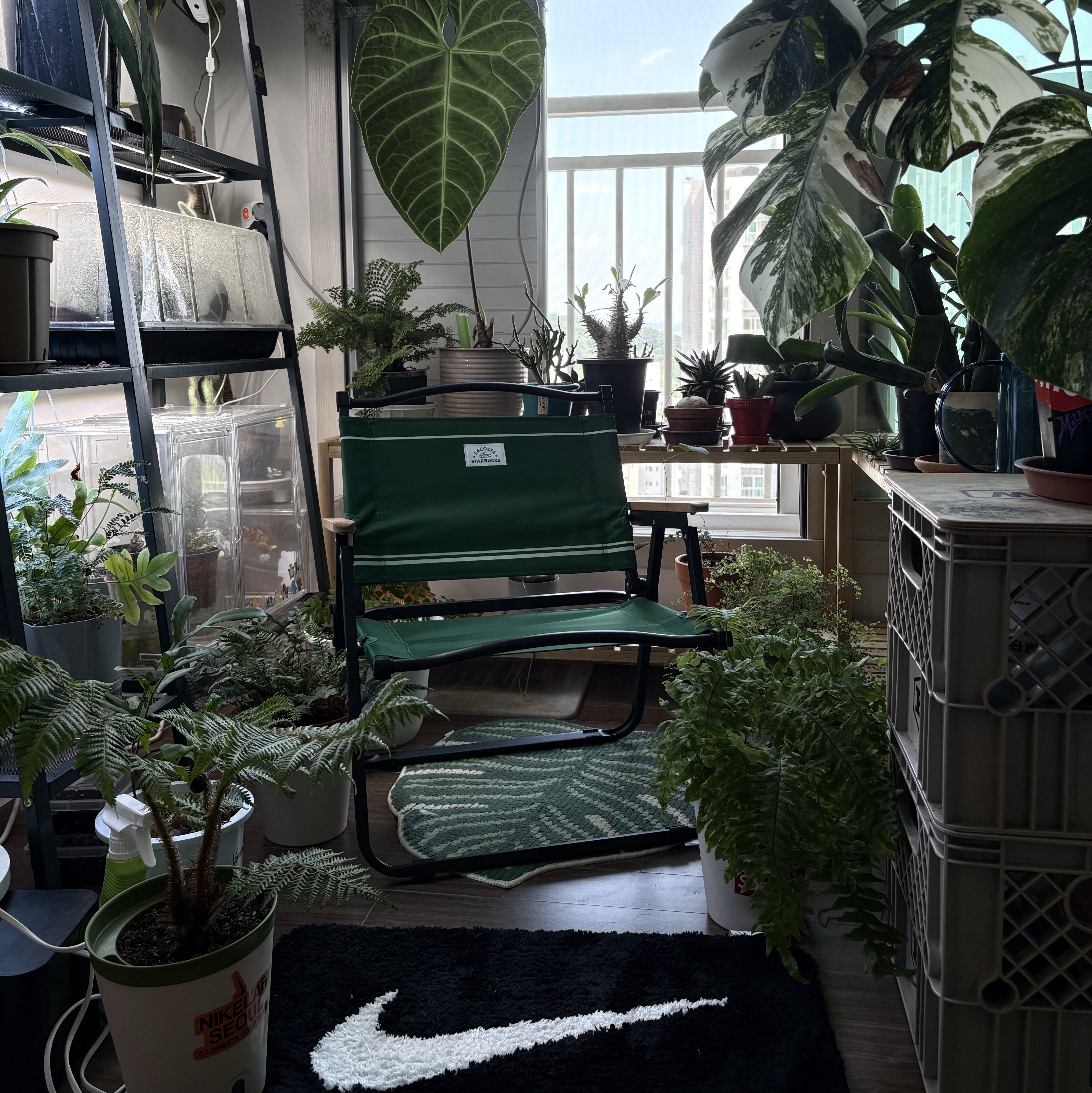 Nike Swoosh Rug Black White, Starbucks x Lacoste Wide Folding Chair Green 착용 스타일