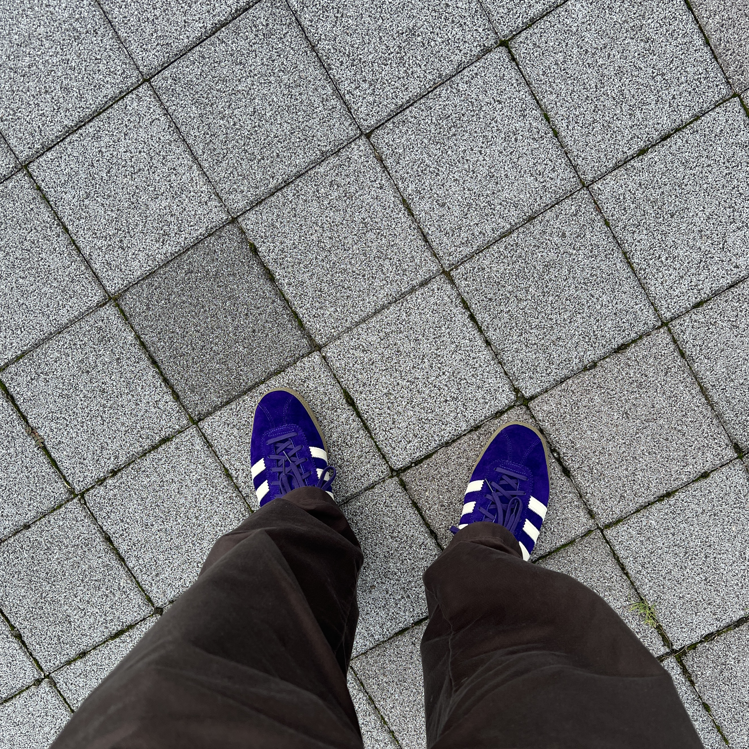 Adidas Bermuda College Purple Cream White 착용 스타일