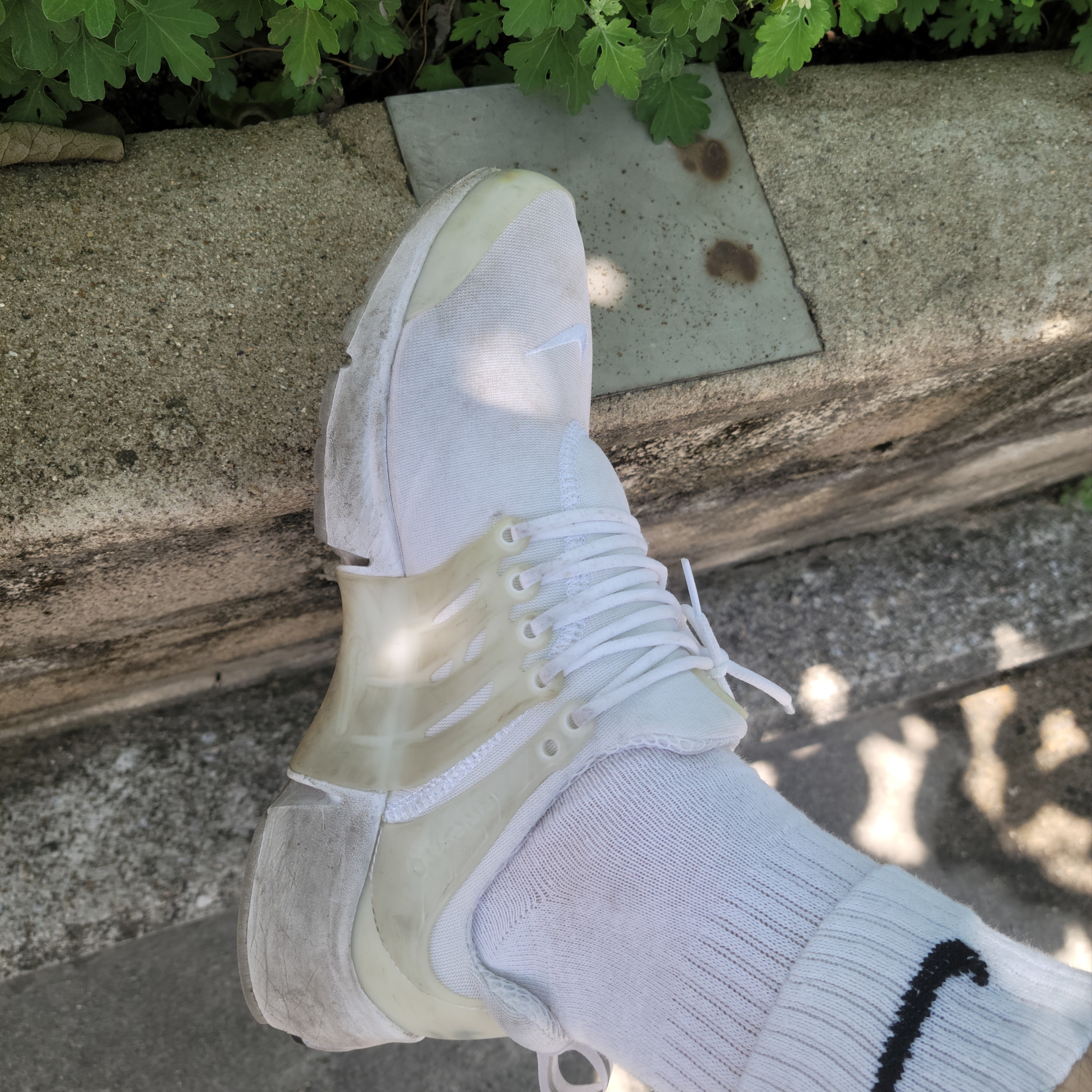 Nike Air Presto White Pure Platinum, Nike Everyday Cushioned Training Crew Socks White (6 Pack/Korean Ver.) 착용 스타일