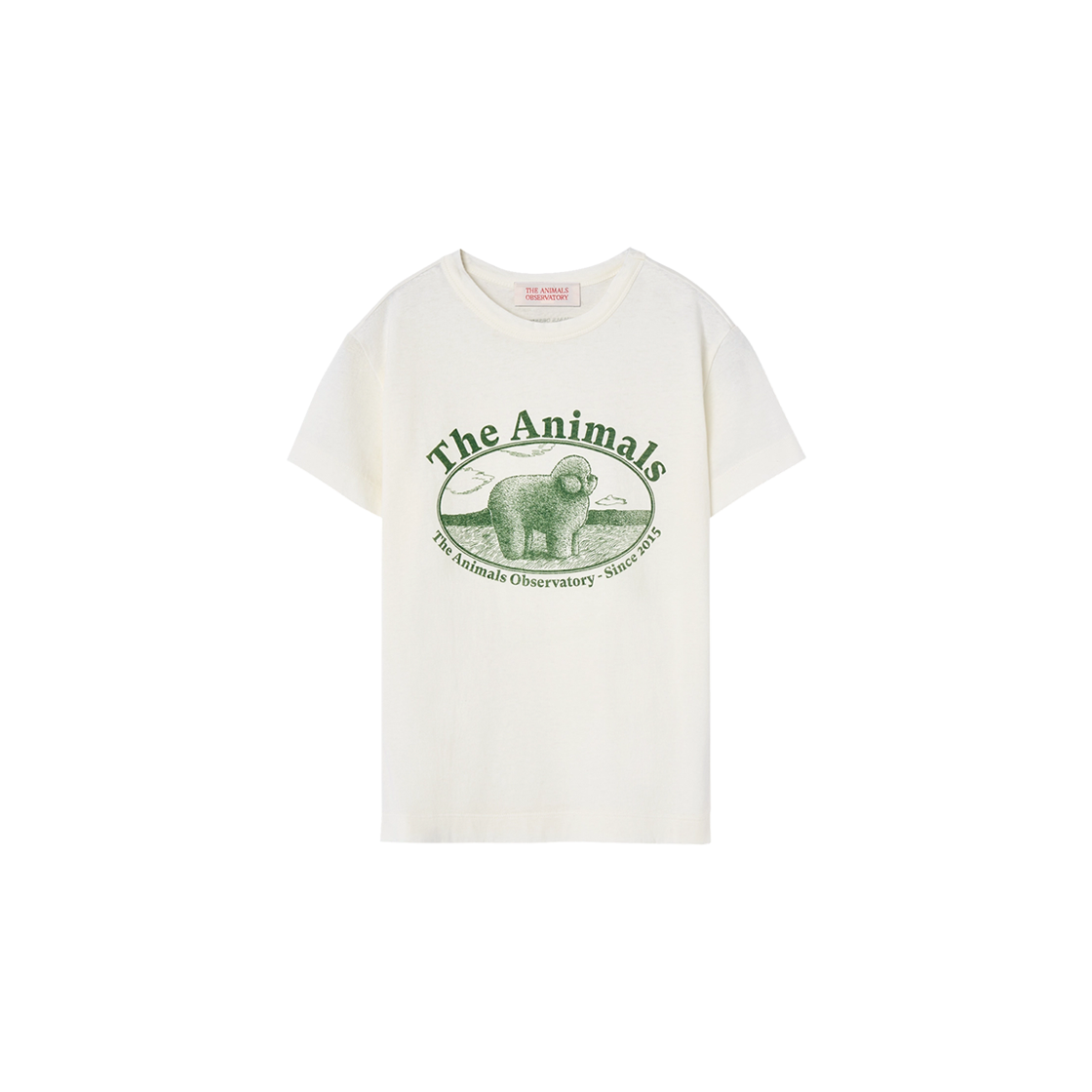 新品未使用 TAO Poodle Rooster T-Shirt 6Y 新品未使用 TAO Poodle Rooster T-Shirt 6Y