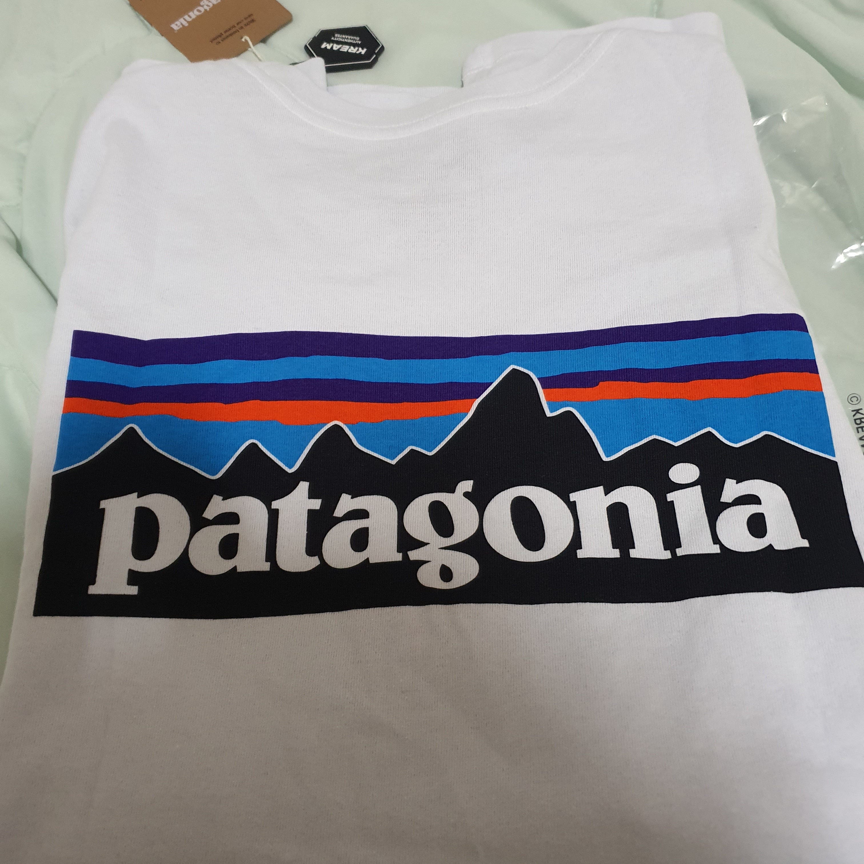 Patagonia P-6 Logo Responsibili-Tee S/S White 착용 스타일 - 2
