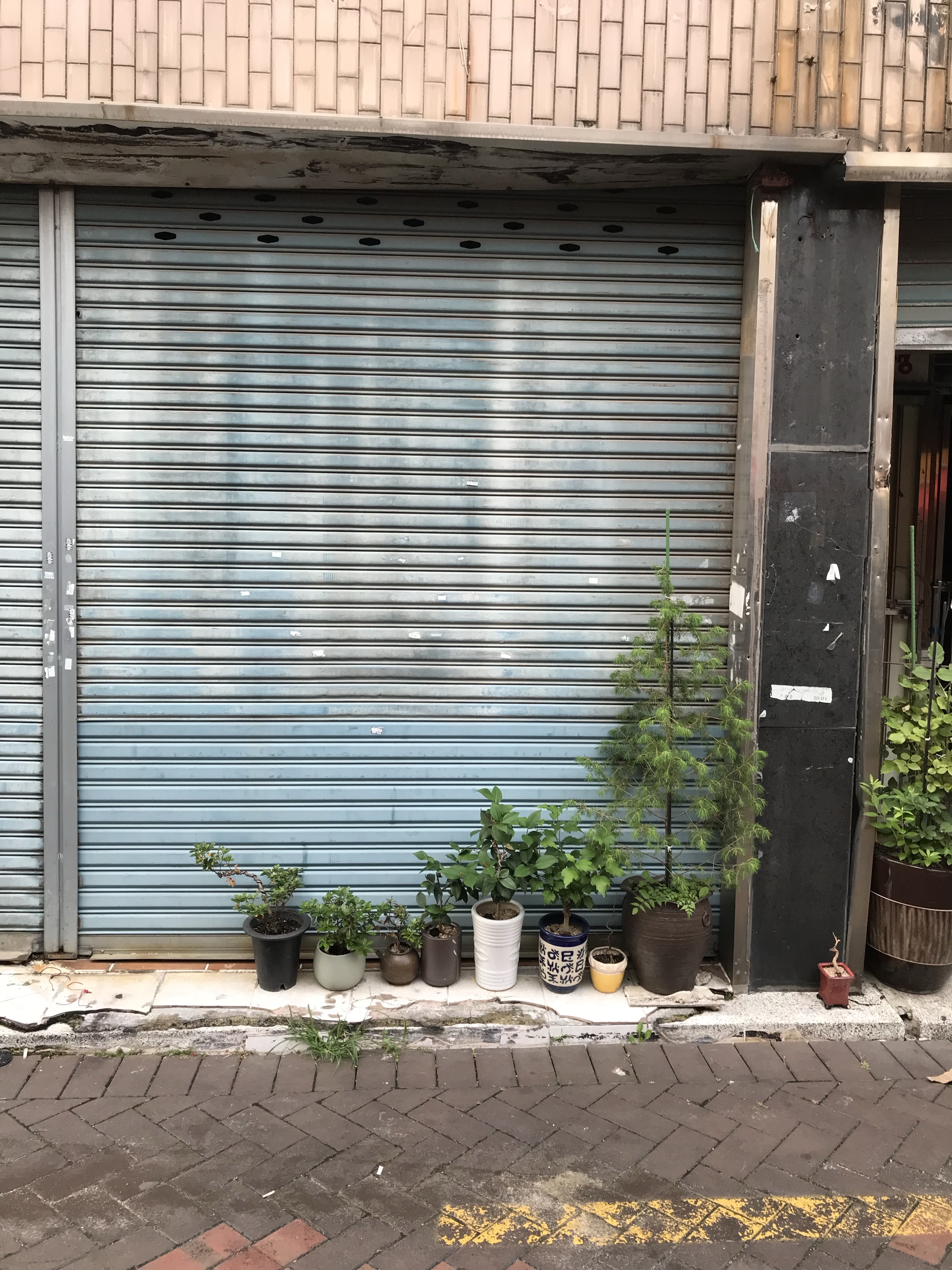 Montbell Pocketable Light Pack 13 Black, Adidas Superstar Core Black White 착용 스타일 - 6