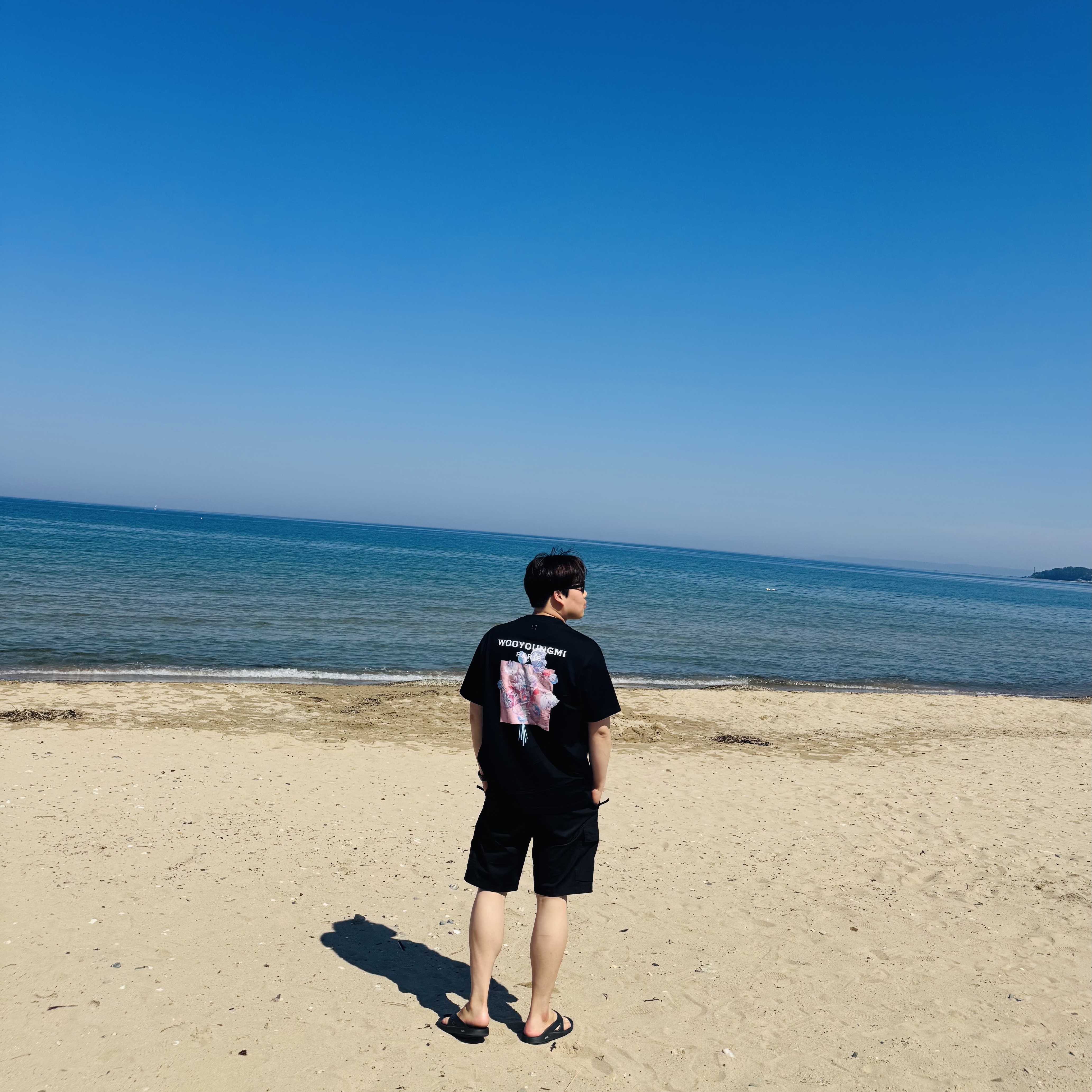 Wooyoungmi 3D Flower Back Logo T-Shirt Black - 24FW, Stone Island L0803 Stretch Cotton Canvas Garment Dyed Cargo Bermuda Shorts Black - 24SS 착용 스타일