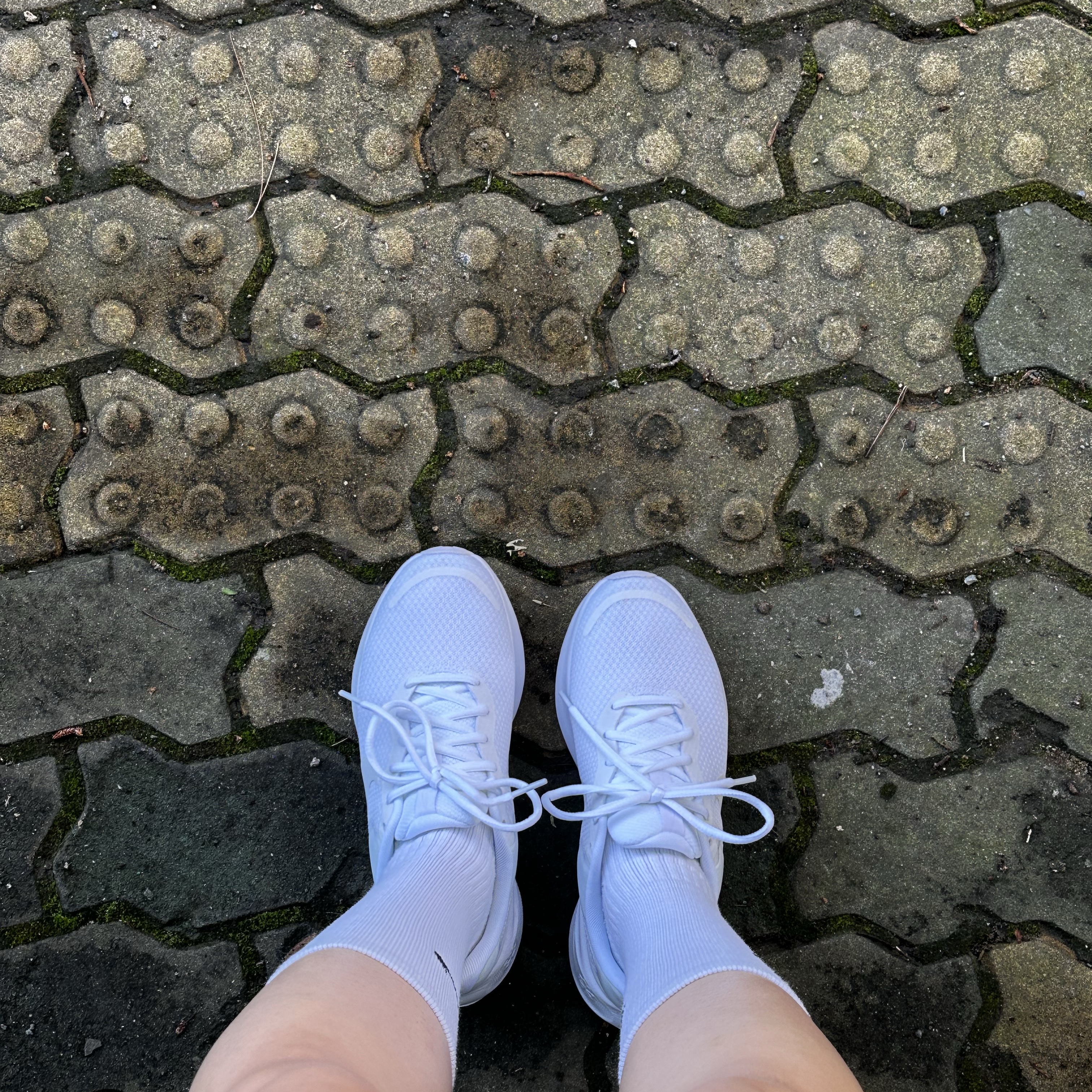 (W) Nike Revolution 7 White 착용 스타일 - 1