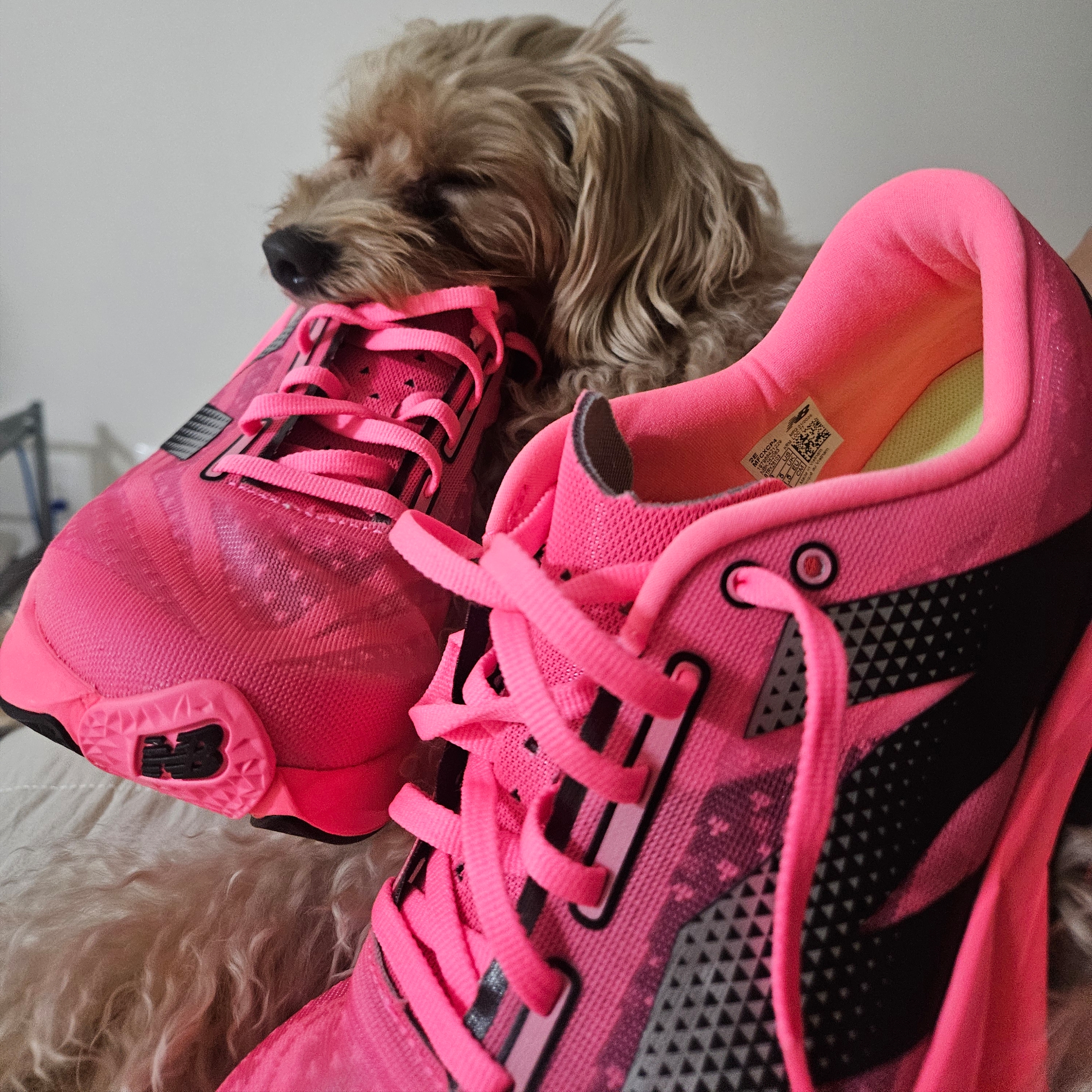New Balance Fuelcell Rebel v4 Ultra Pink Black - 2E Wide 착용 스타일