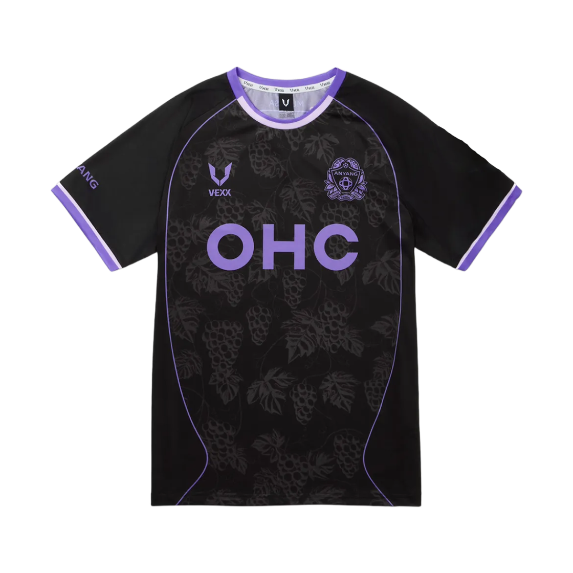 FC 안양 x 브이엑스 25 써드 유니폼 GK 블랙 (논 마킹 버전)(FC Anyang x V-EXX 25 Third Uniform GK Black (Non Marking Ver.))