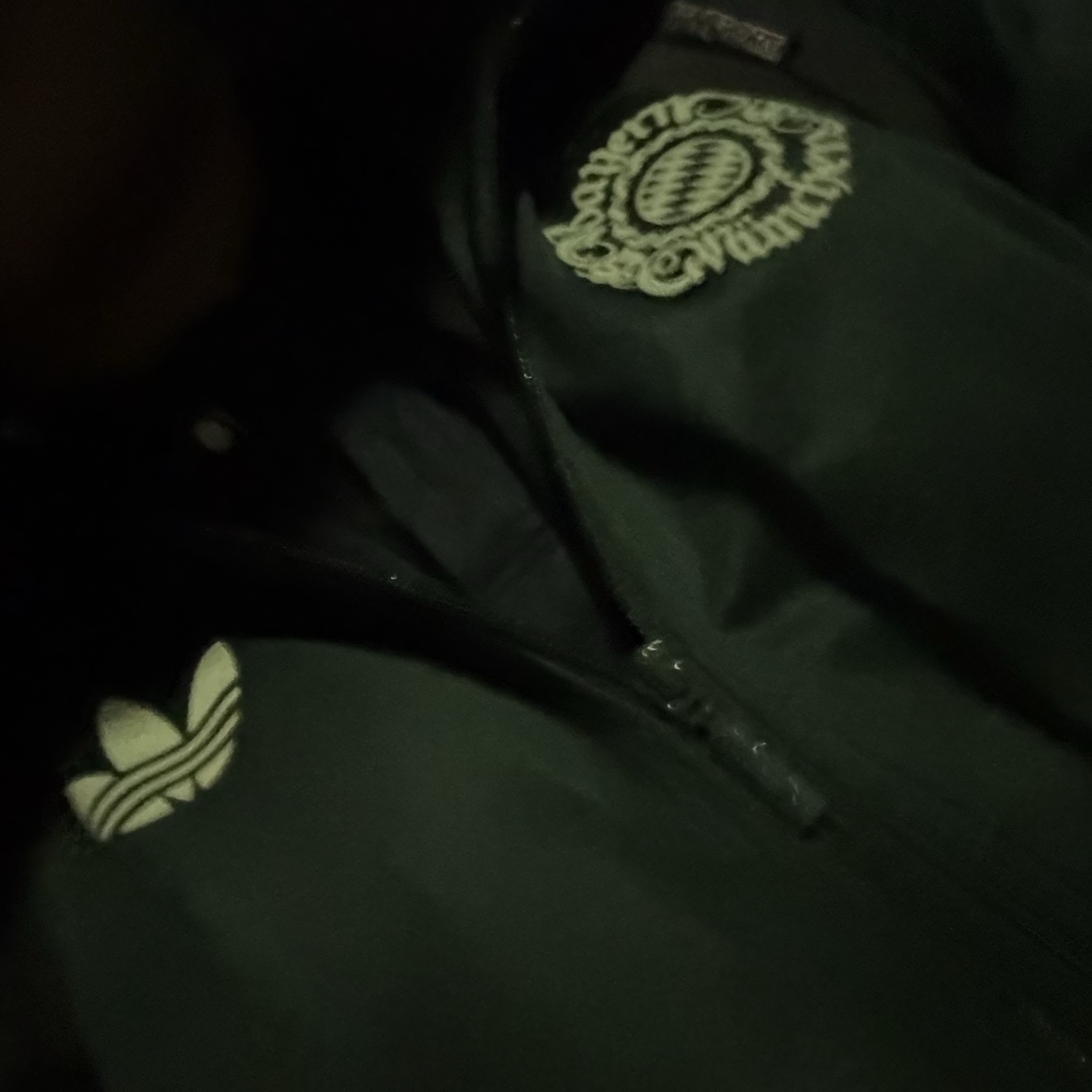 Adidas Bayern Munchen Seasonal Track Top Shadow Green - KR Sizing 착용 스타일