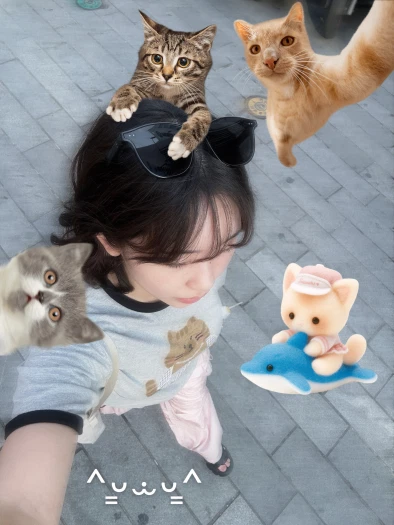 스타일 카드